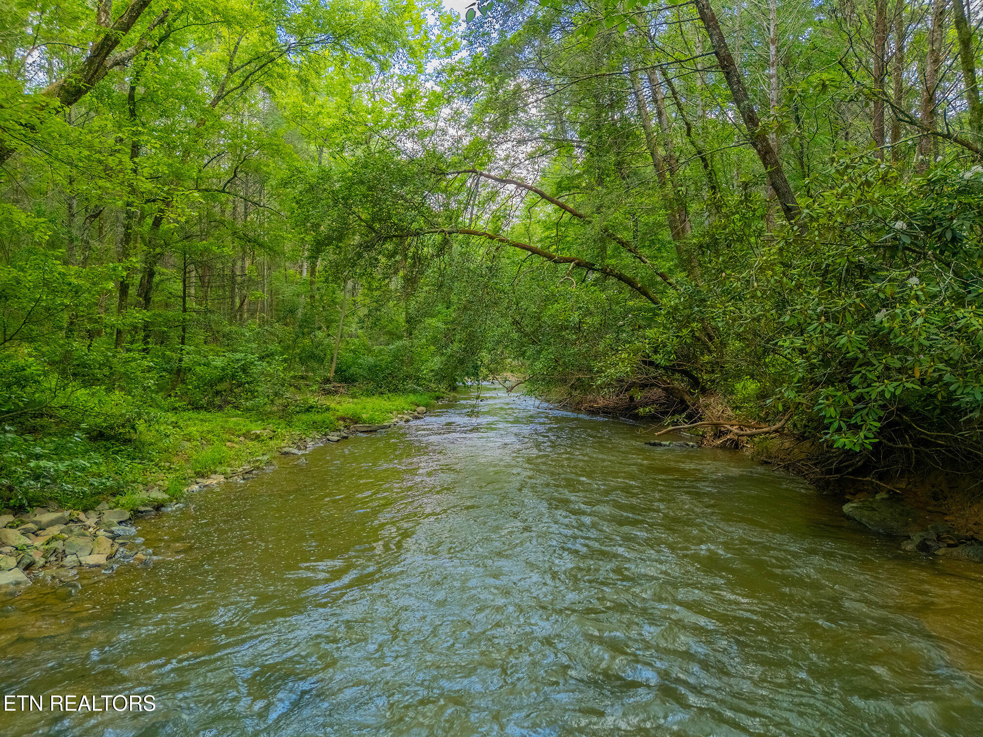 118 Authorn Sheldon Road Harriman TN 37748
