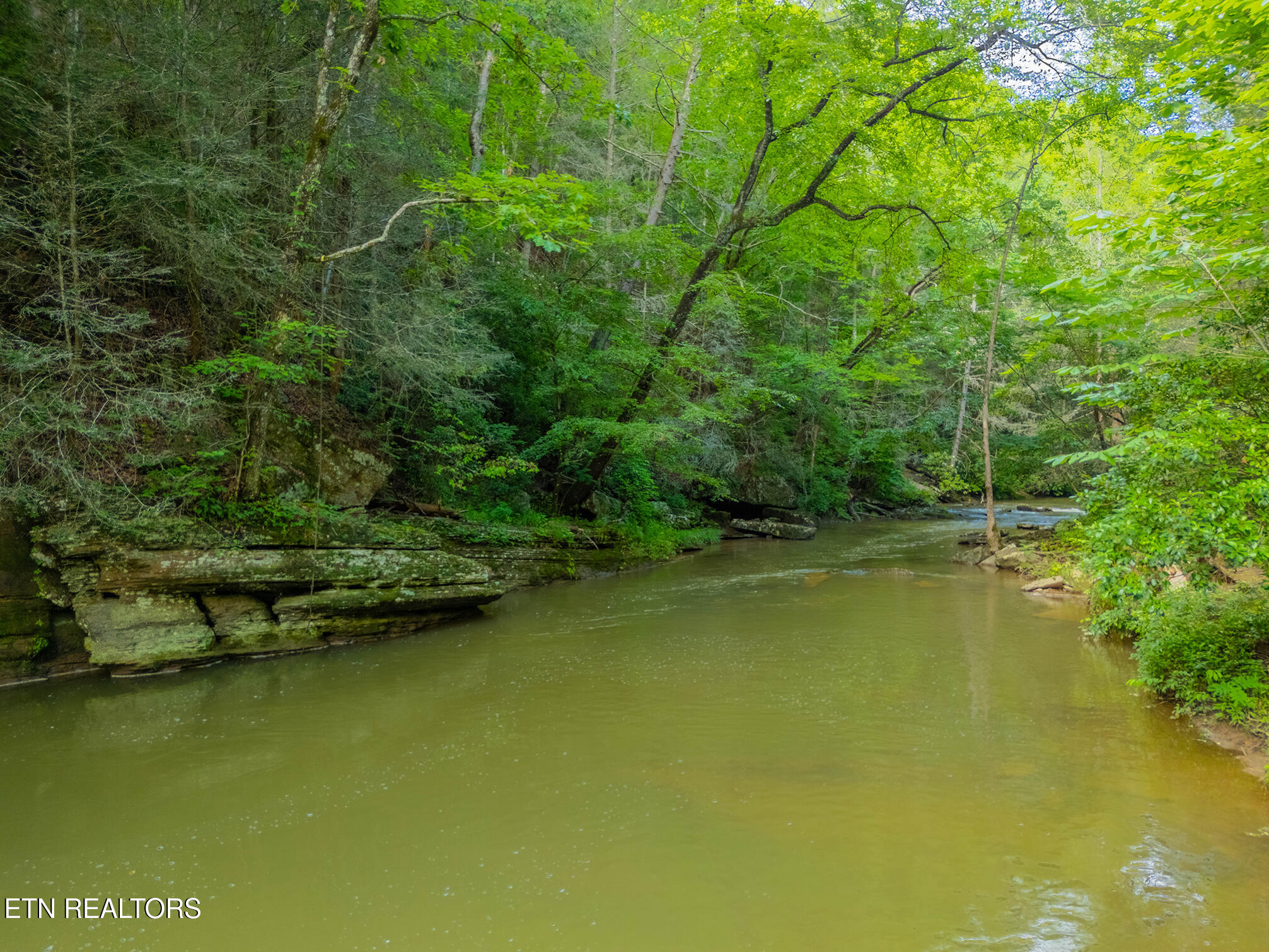 118 Authorn Sheldon Road Harriman TN 37748