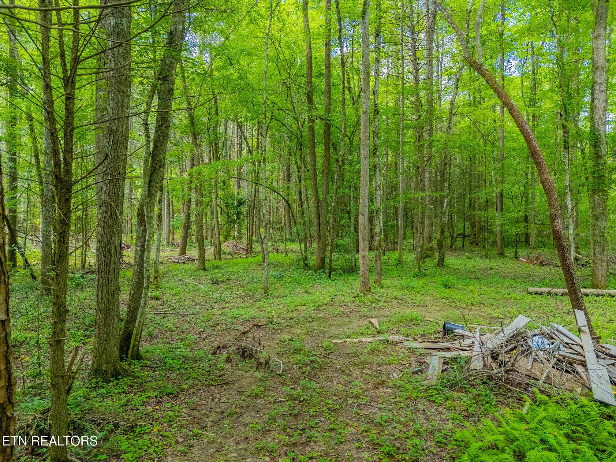 118 Authorn Sheldon Road Harriman TN 37748
