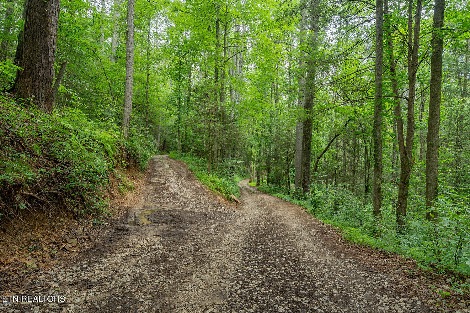 118 Authorn Sheldon Road Harriman TN 37748
