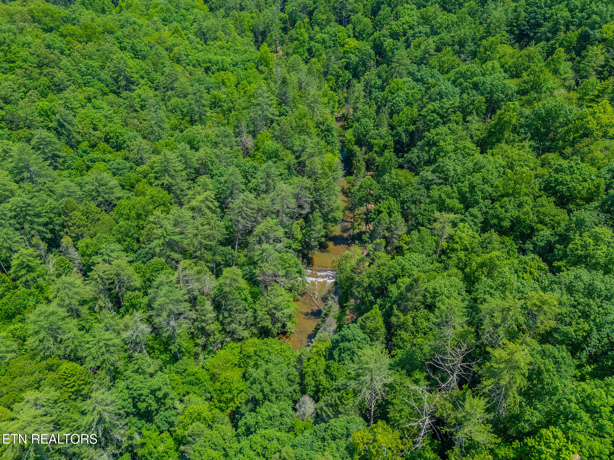118 Authorn Sheldon Road Harriman TN 37748