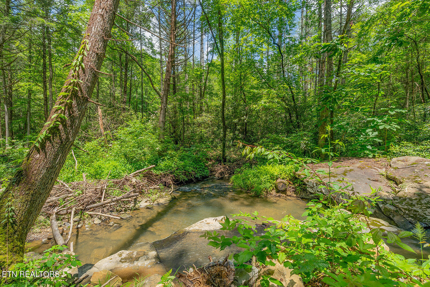 118 Authorn Sheldon Road Harriman TN 37748