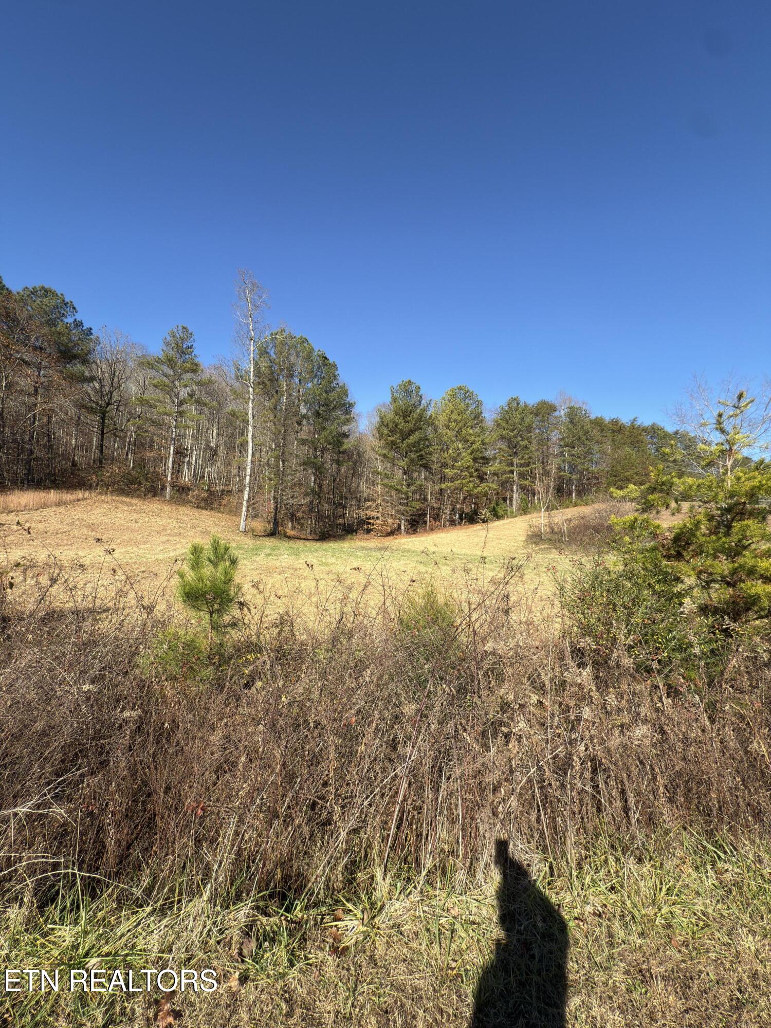 331 Enclave Way Kingston TN 37763