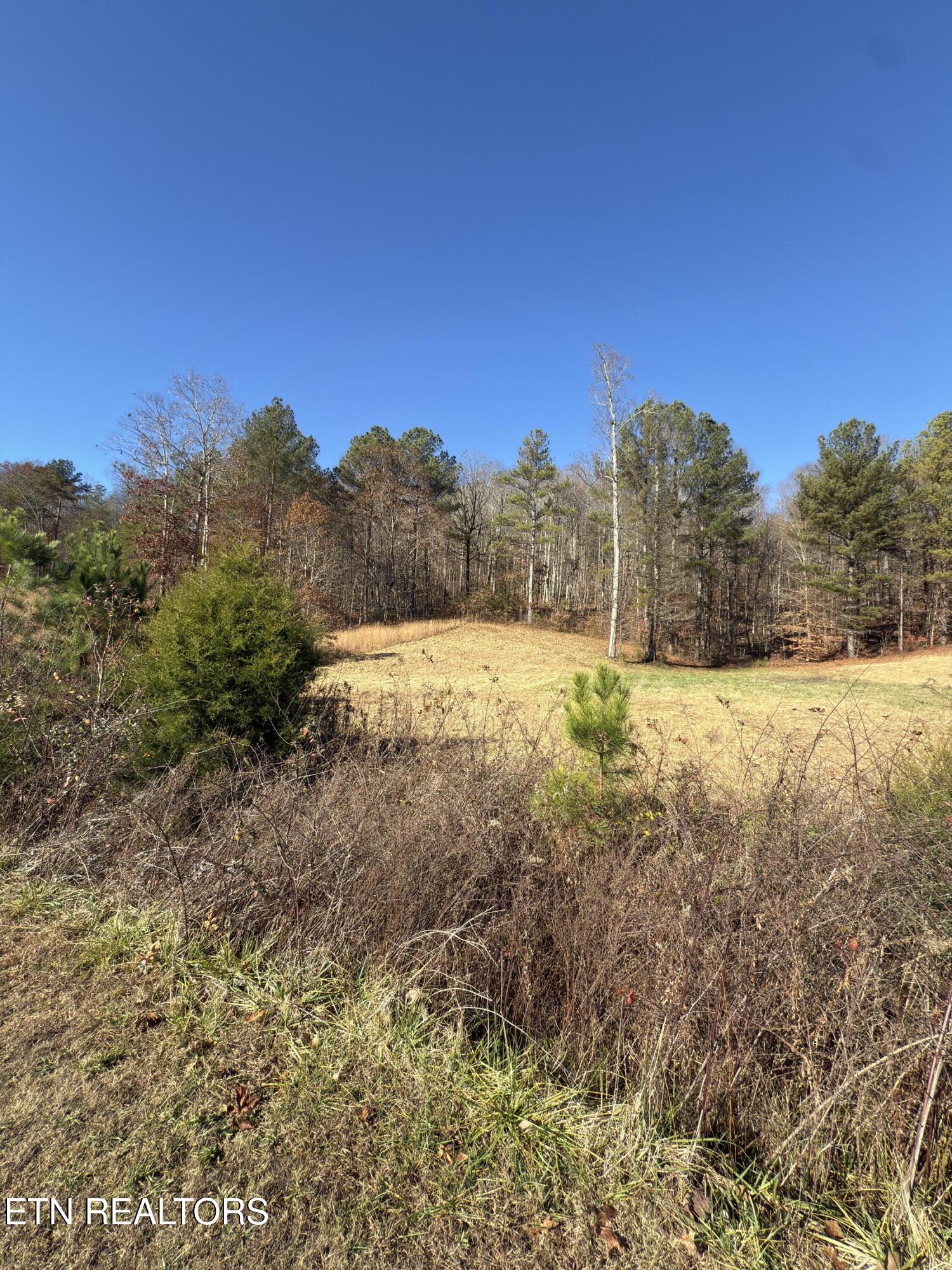 331 Enclave Way Kingston TN 37763