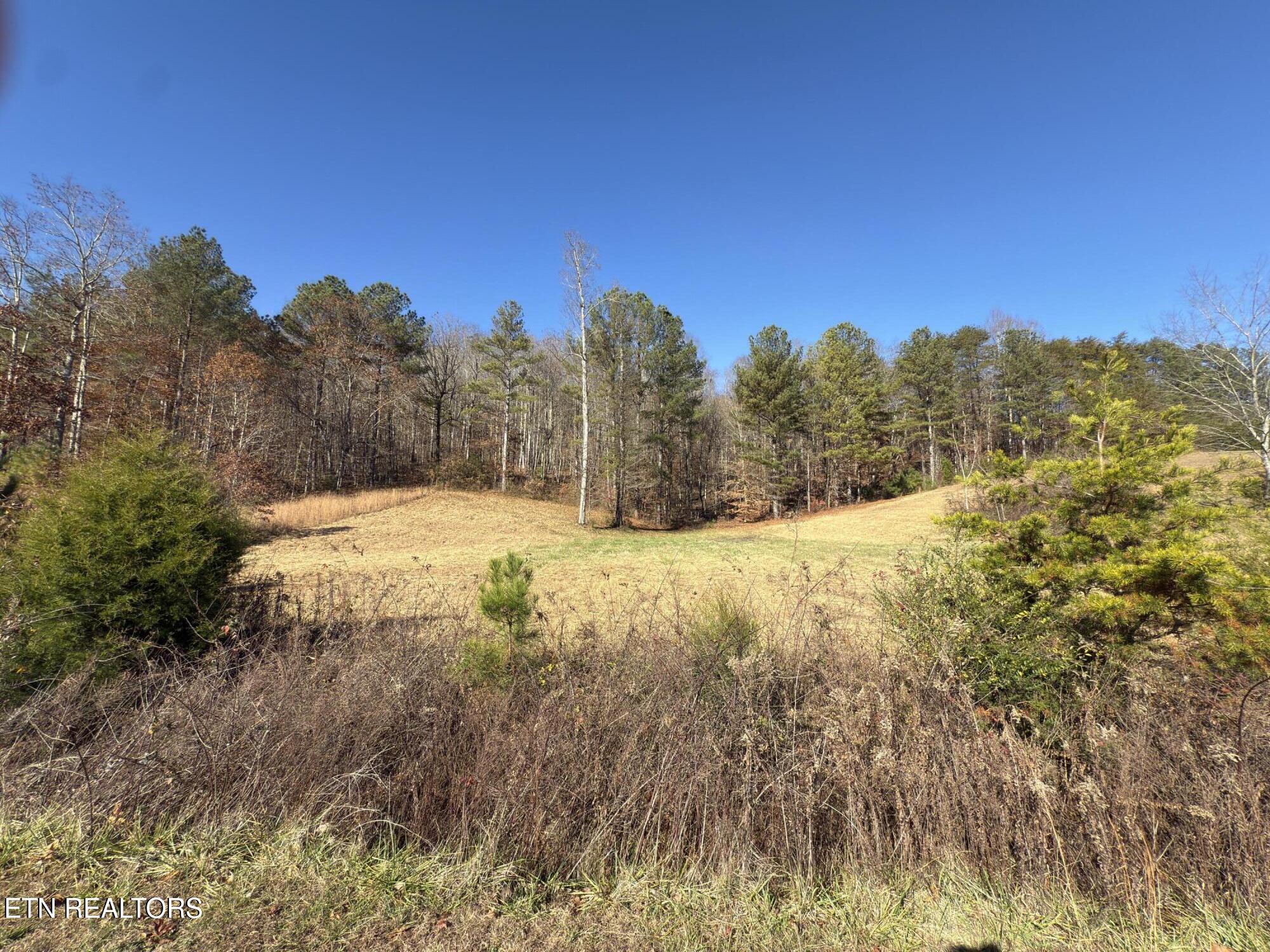 331 Enclave Way Kingston TN 37763