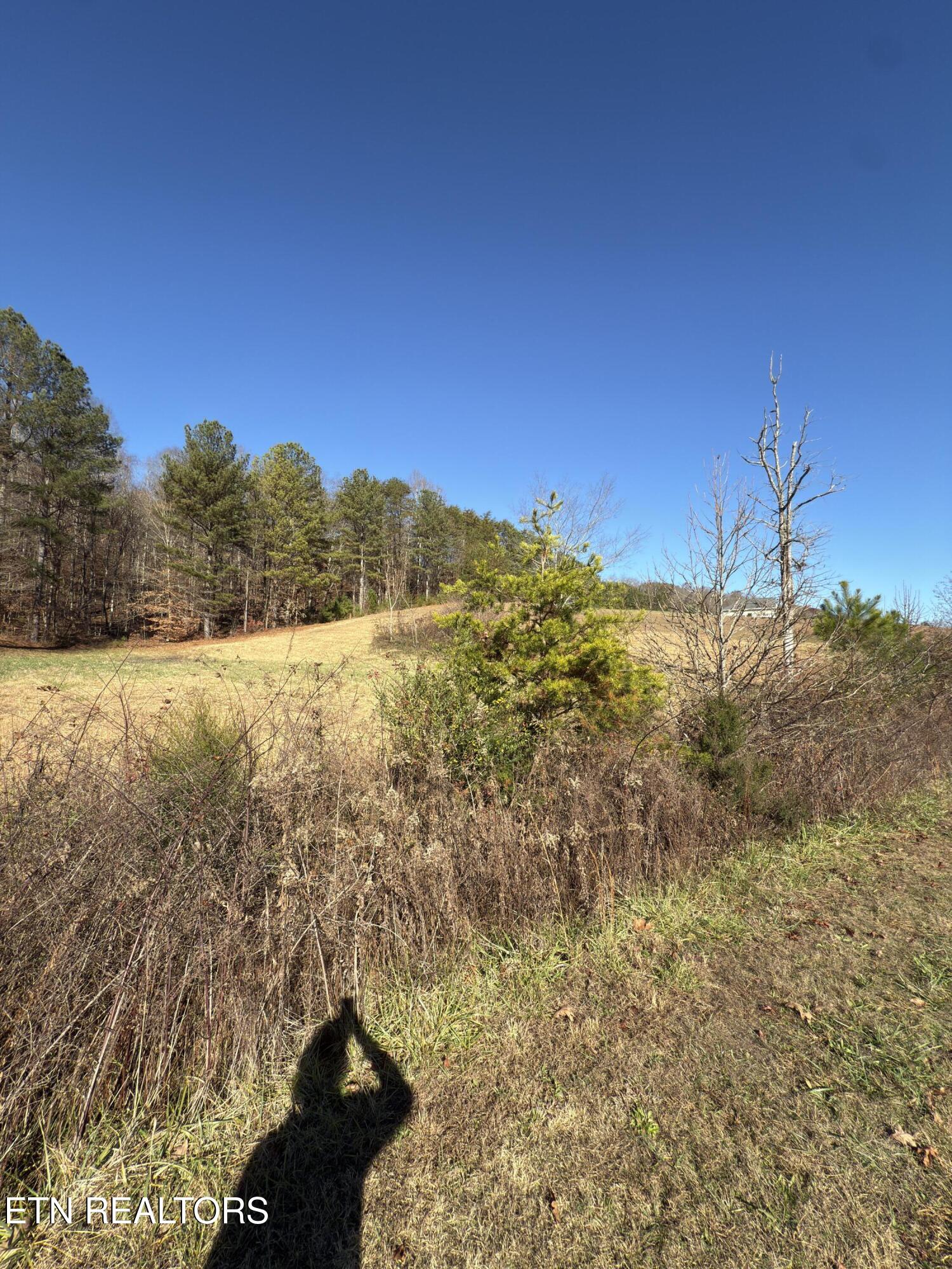 331 Enclave Way Kingston TN 37763