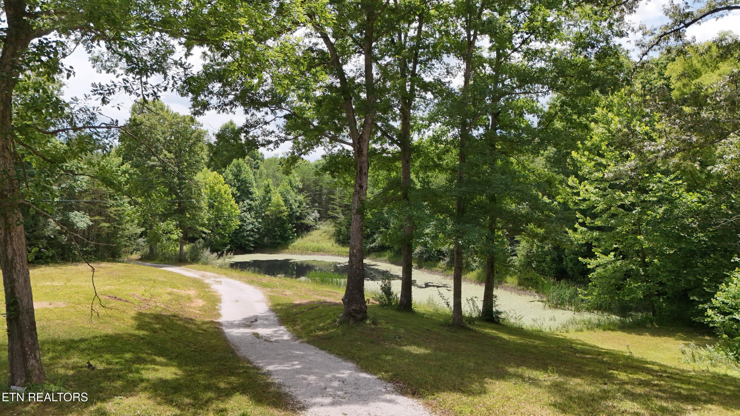 350 Rector Lane Helenwood TN 37755