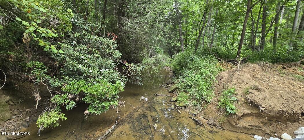 350 Rector Lane Helenwood TN 37755