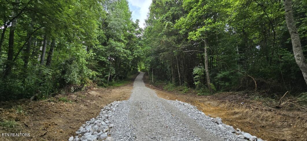 350 Rector Lane Helenwood TN 37755