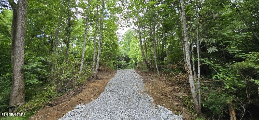 350 Rector Lane Helenwood TN 37755
