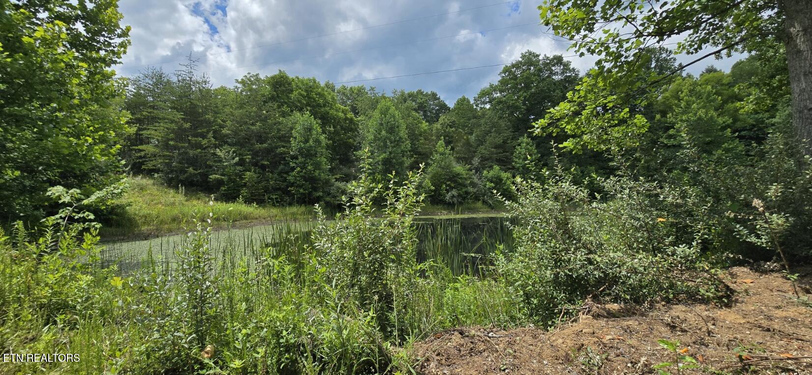 350 Rector Lane Helenwood TN 37755