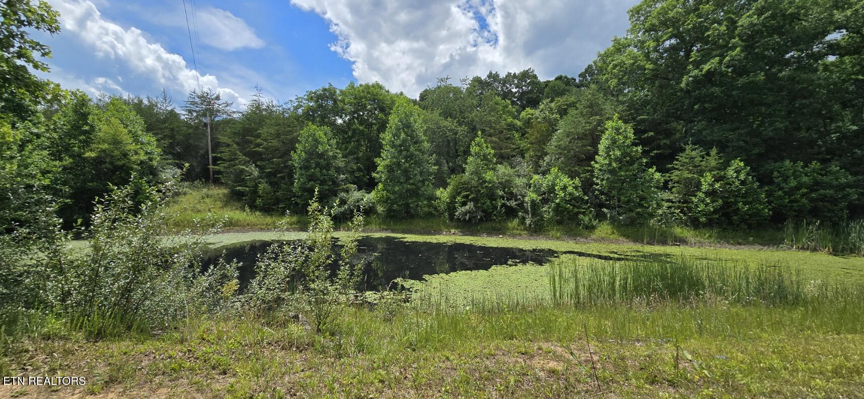 350 Rector Lane Helenwood TN 37755