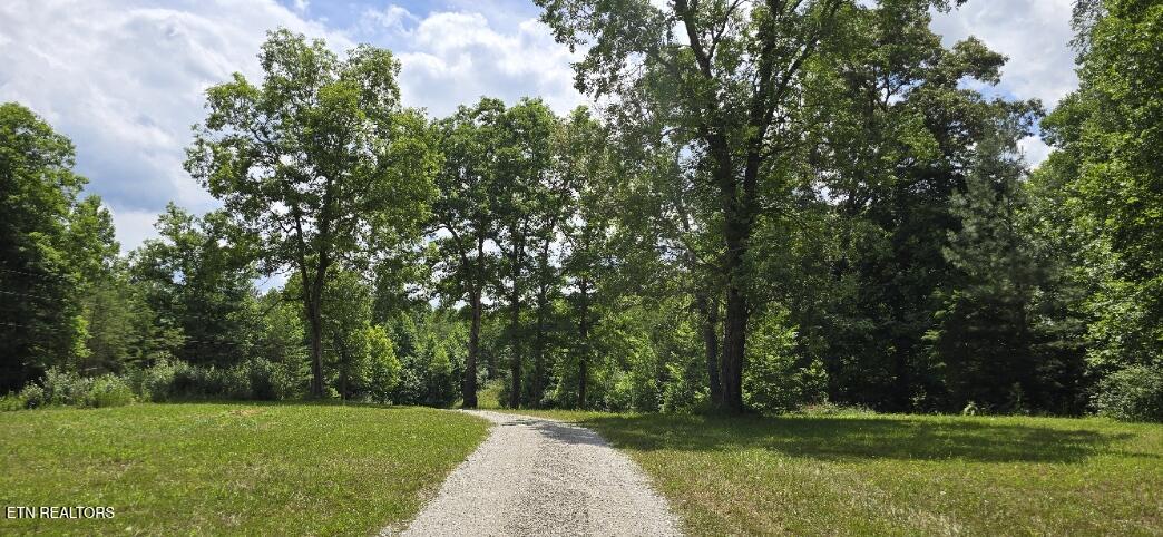 350 Rector Lane Helenwood TN 37755
