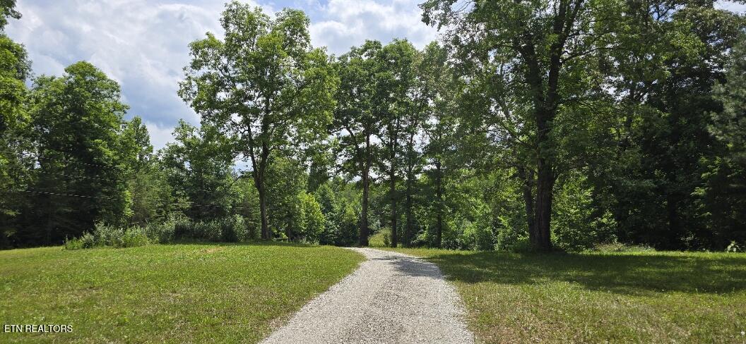 350 Rector Lane Helenwood TN 37755