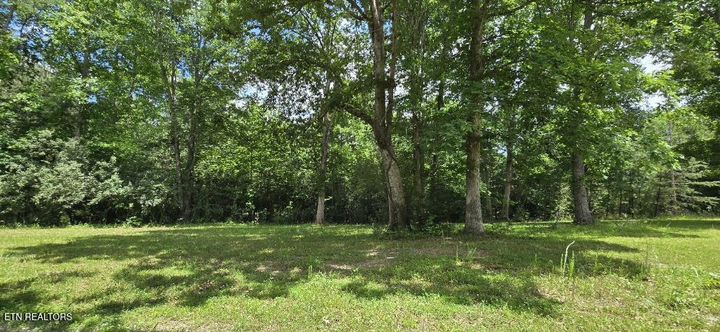 350 Rector Lane Helenwood TN 37755