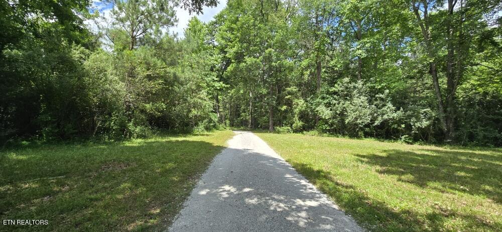 350 Rector Lane Helenwood TN 37755