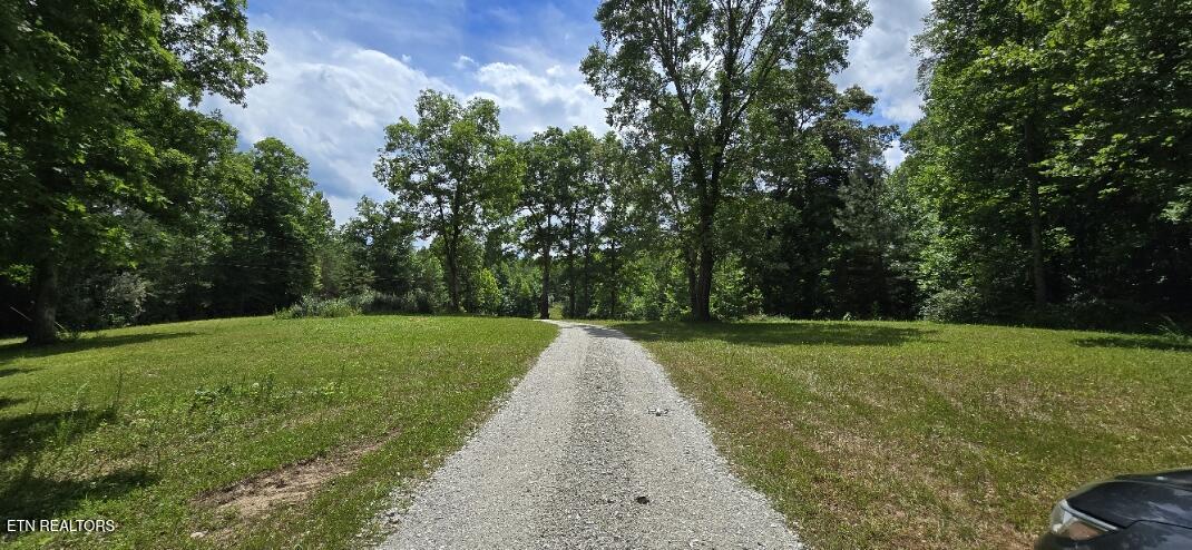 350 Rector Lane Helenwood TN 37755