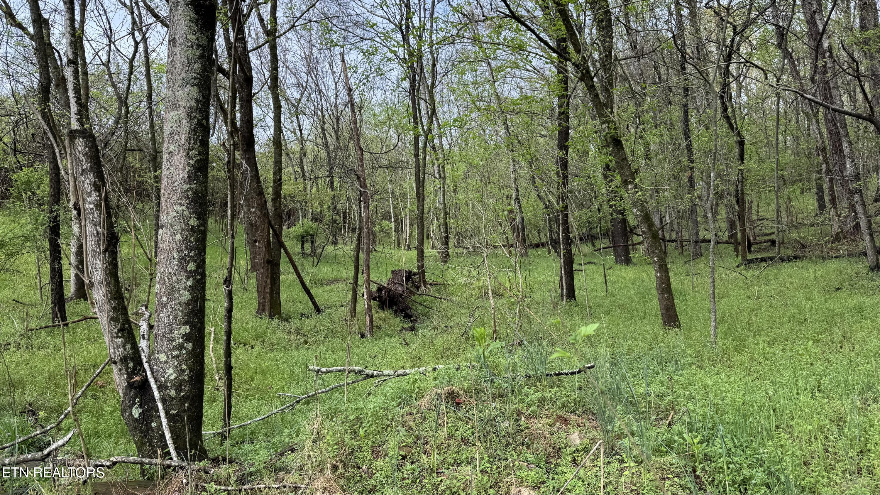 00 Mary Lane Rutledge TN 37861