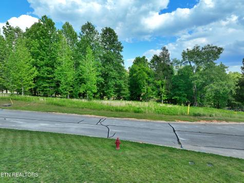 Lot 56 Blue Heron Bluff Road Harriman TN 37748