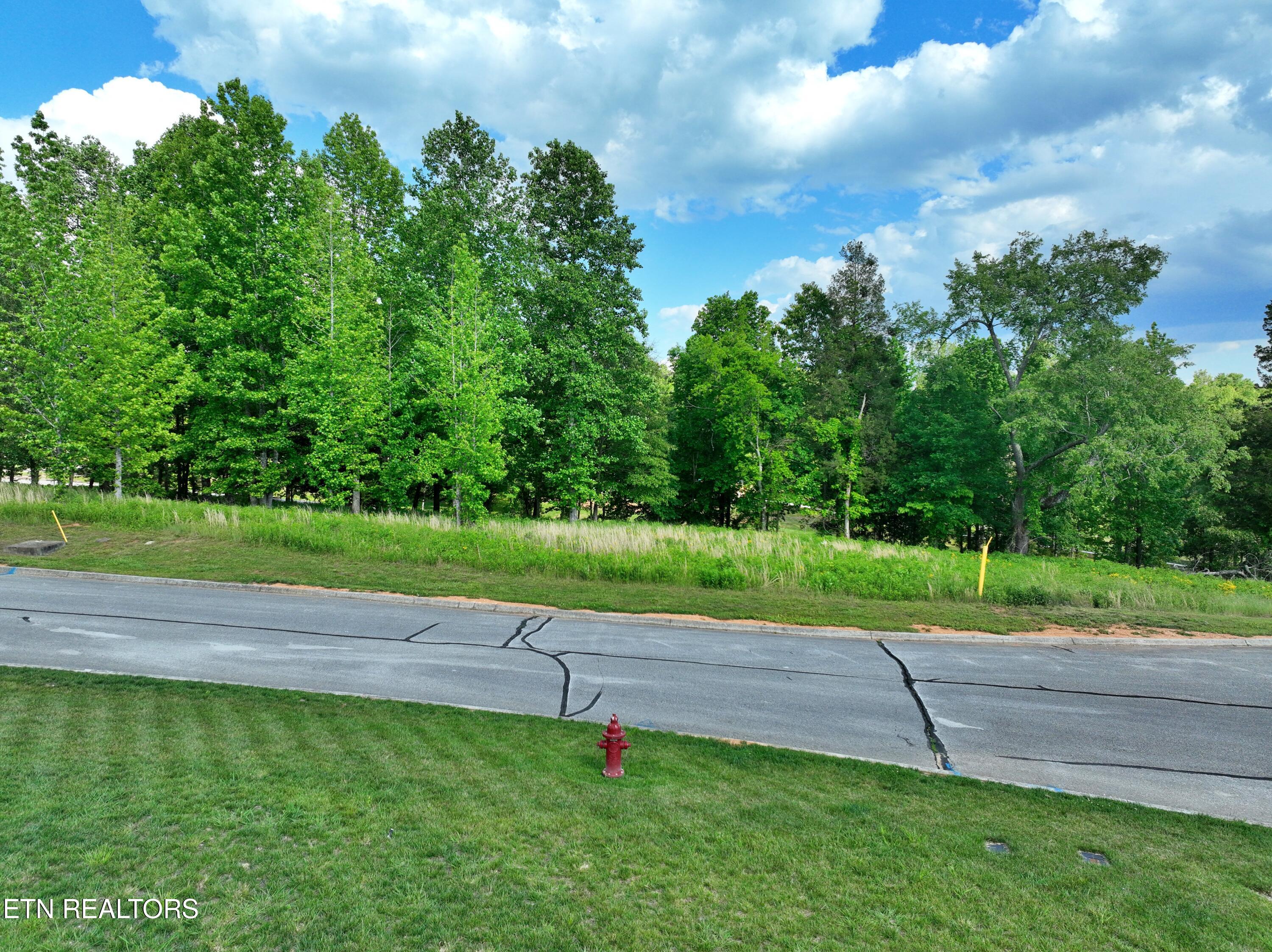 Lot 56 Blue Heron Bluff Road Harriman TN 37748