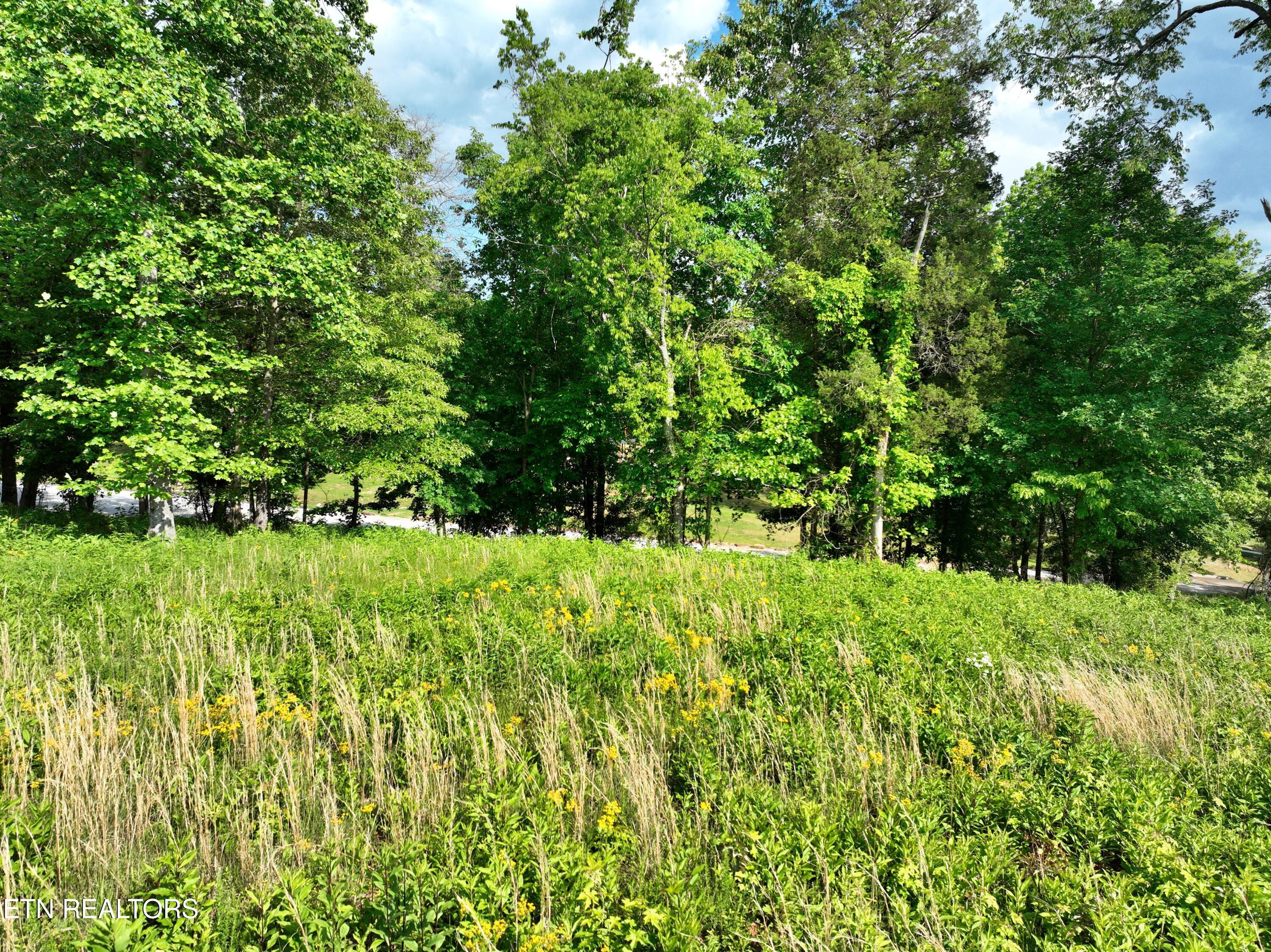 Lot 56 Blue Heron Bluff Road Harriman TN 37748