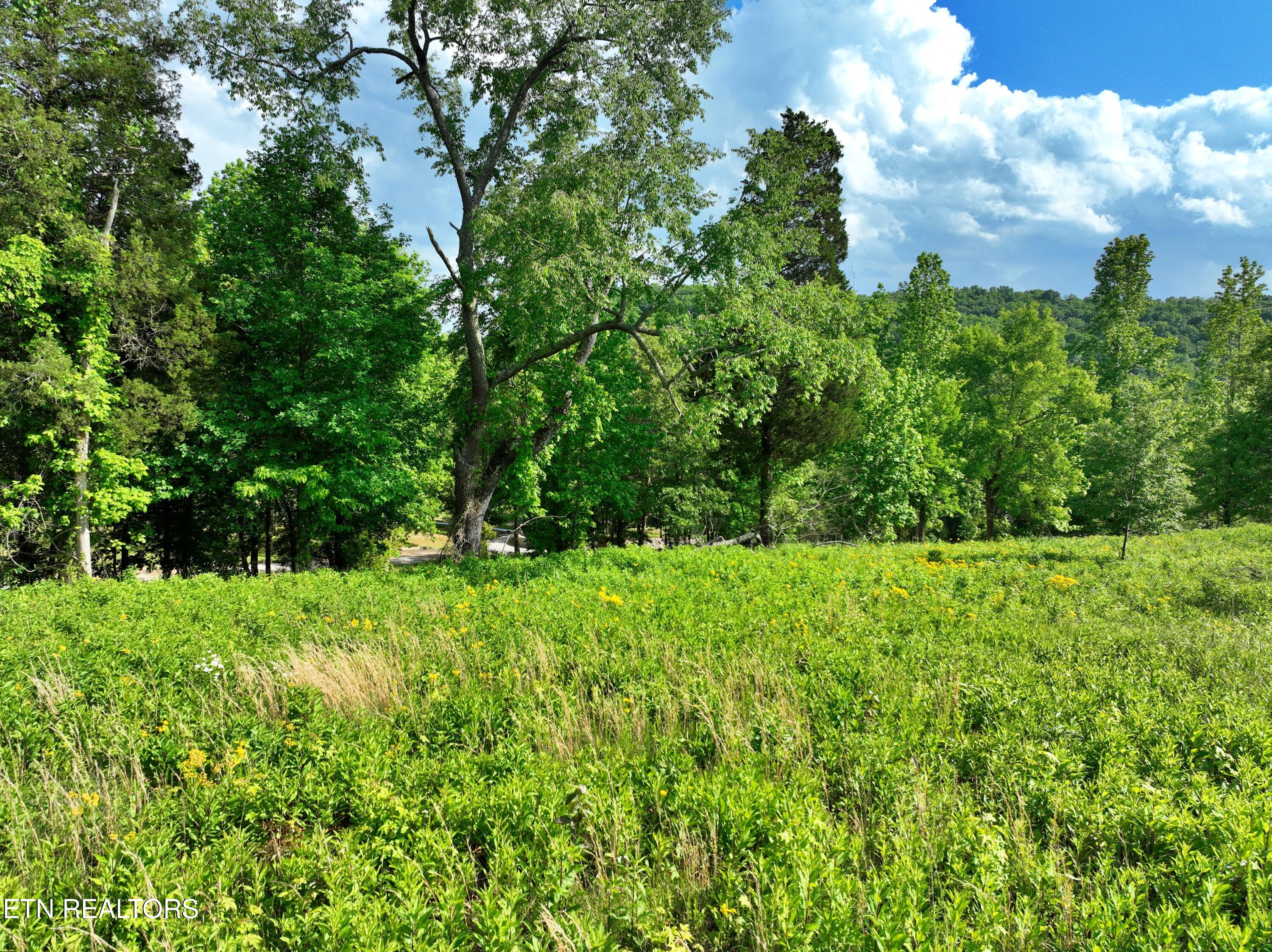 Lot 56 Blue Heron Bluff Road Harriman TN 37748