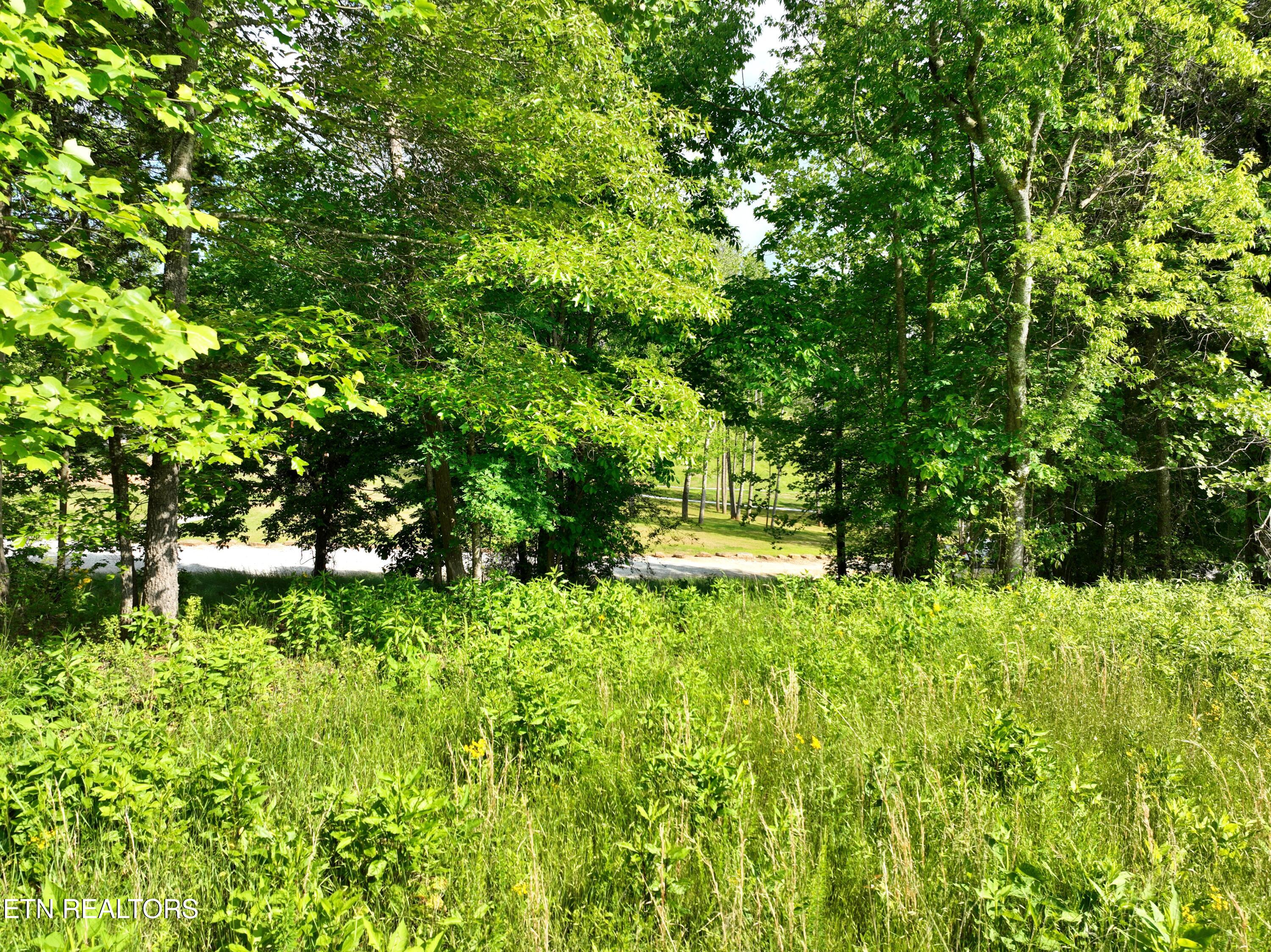 Lot 56 Blue Heron Bluff Road Harriman TN 37748