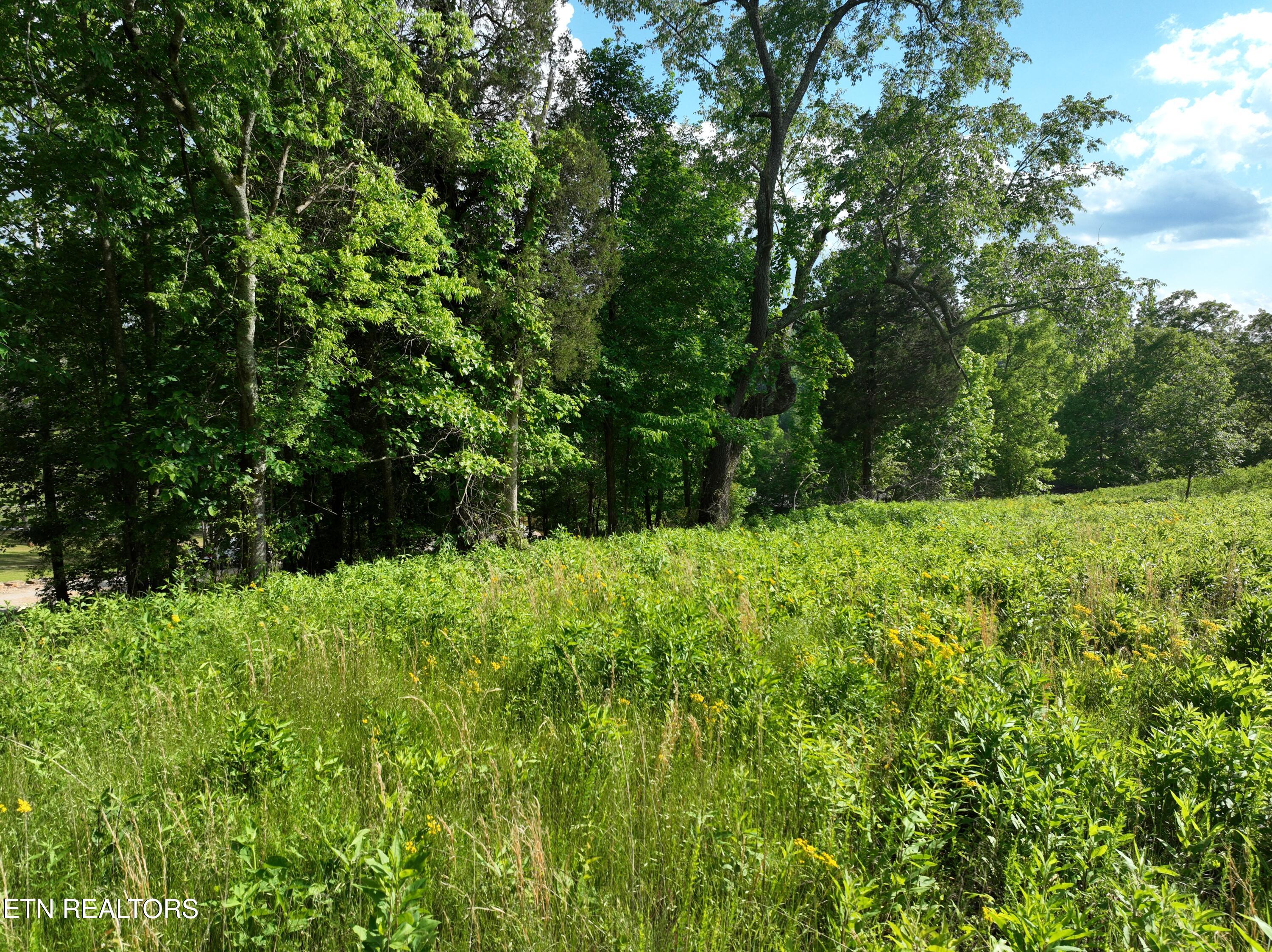 Lot 56 Blue Heron Bluff Road Harriman TN 37748