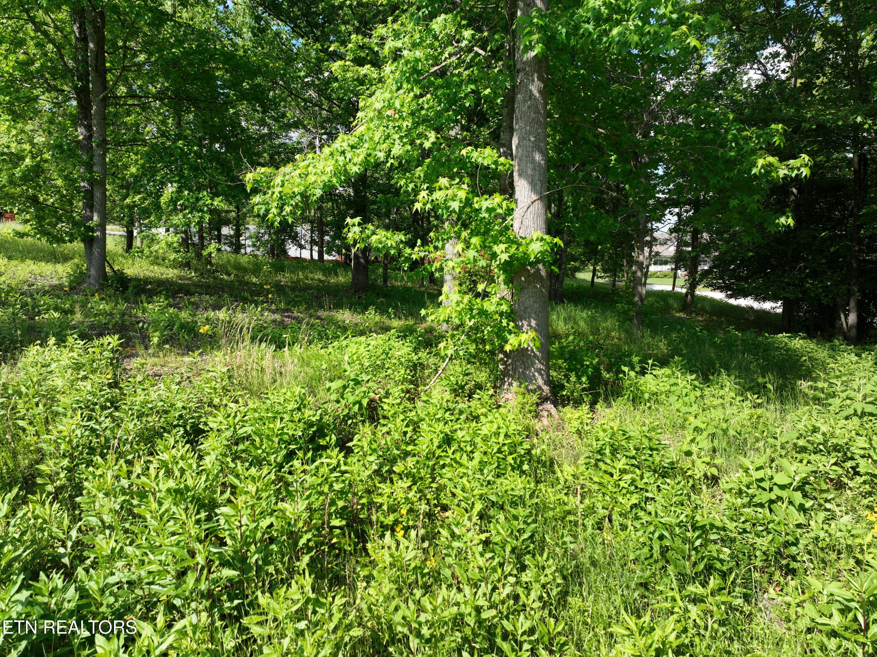 Lot 56 Blue Heron Bluff Road Harriman TN 37748