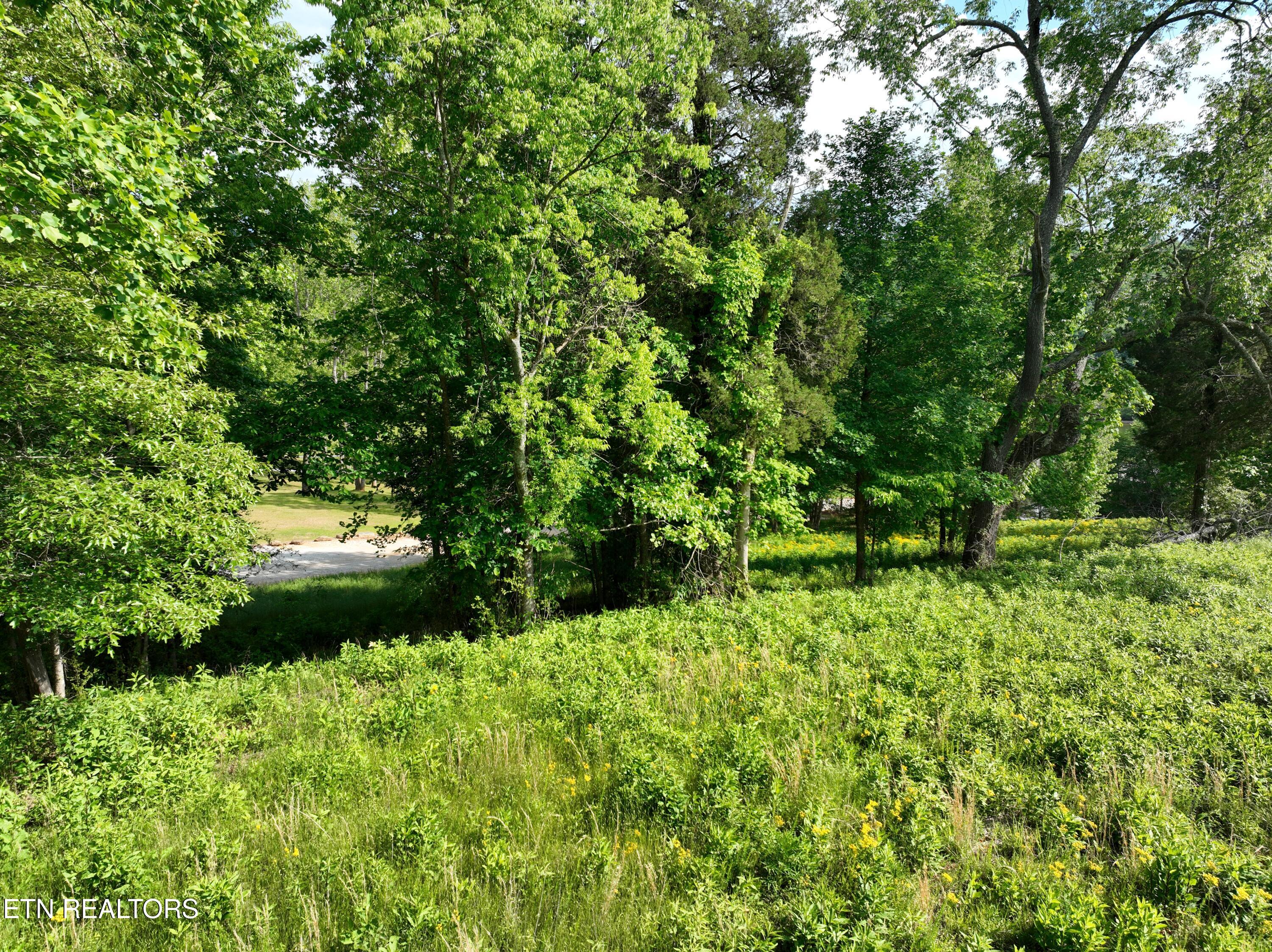 Lot 56 Blue Heron Bluff Road Harriman TN 37748