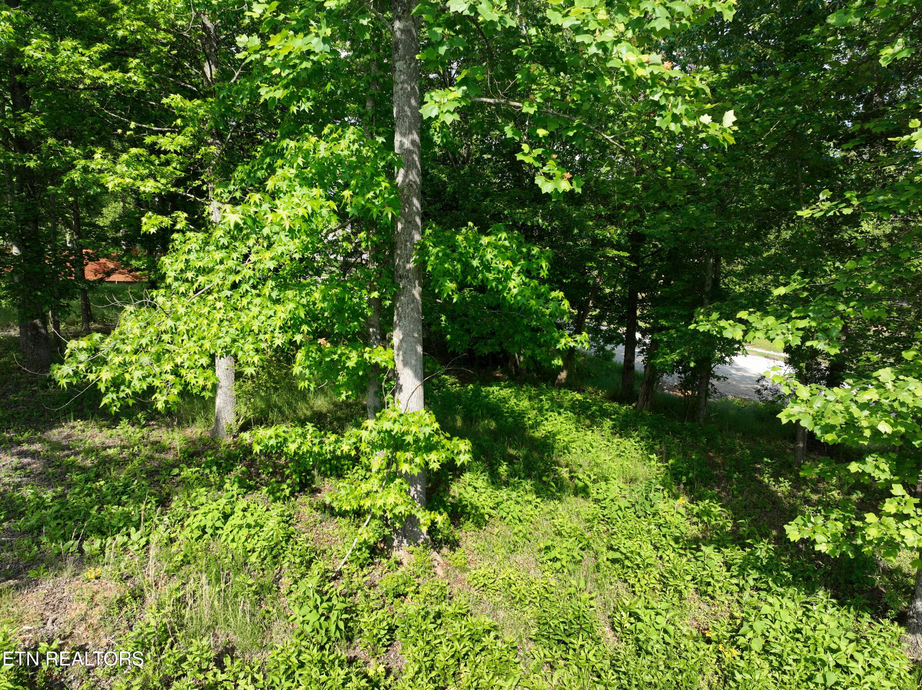 Lot 56 Blue Heron Bluff Road Harriman TN 37748