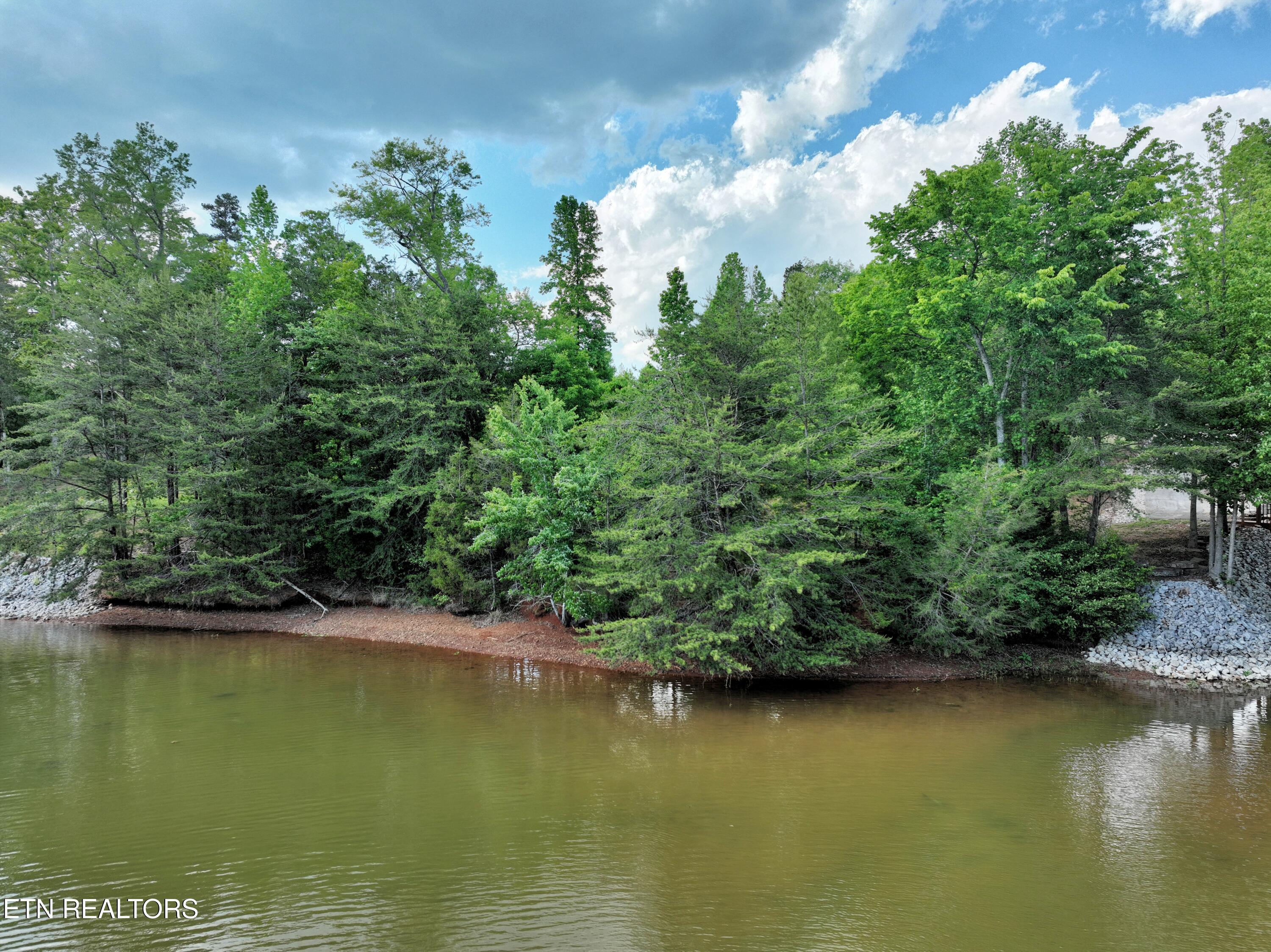 Lot 56 Blue Heron Bluff Road Harriman TN 37748