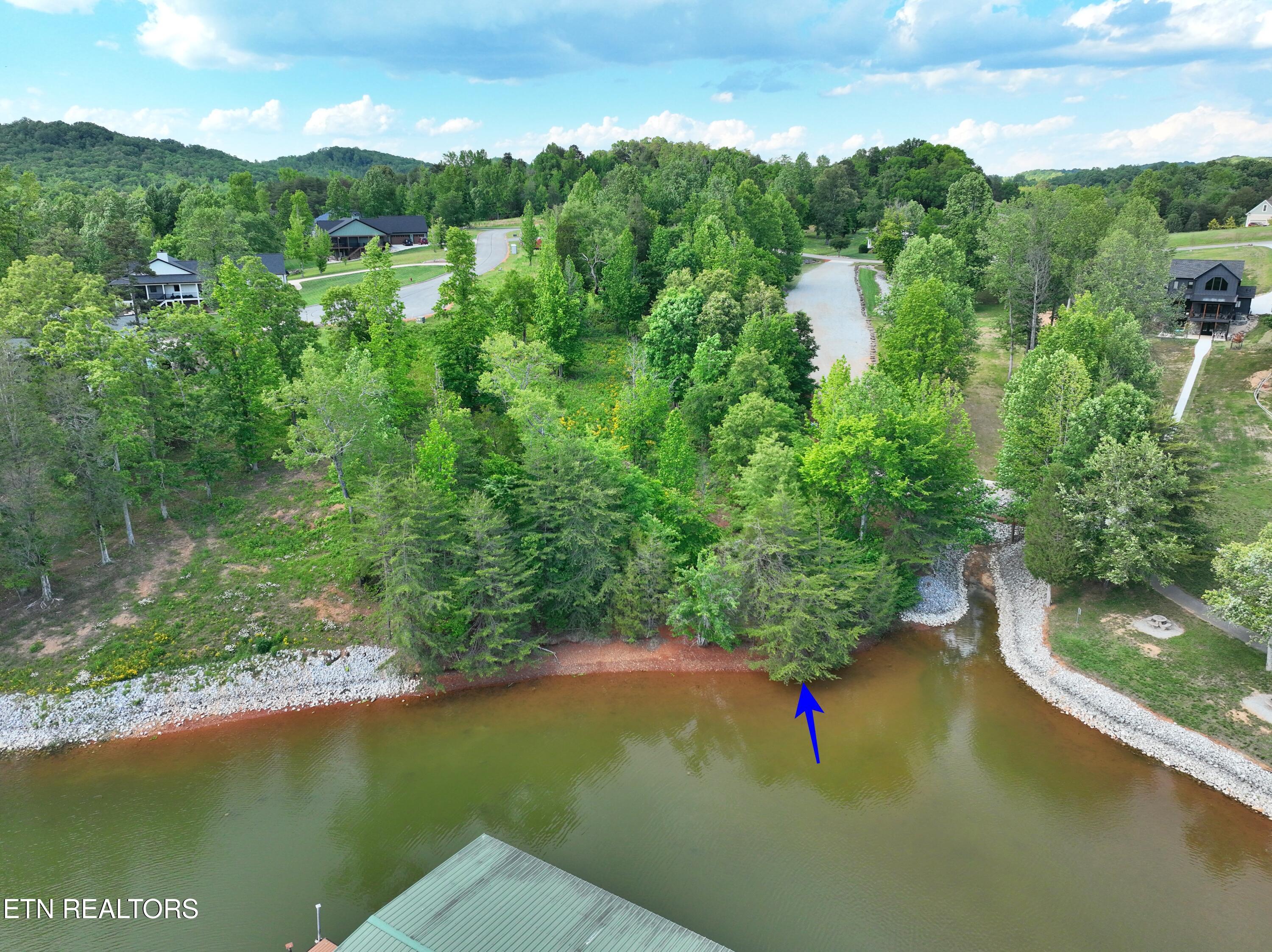 Lot 56 Blue Heron Bluff Road Harriman TN 37748