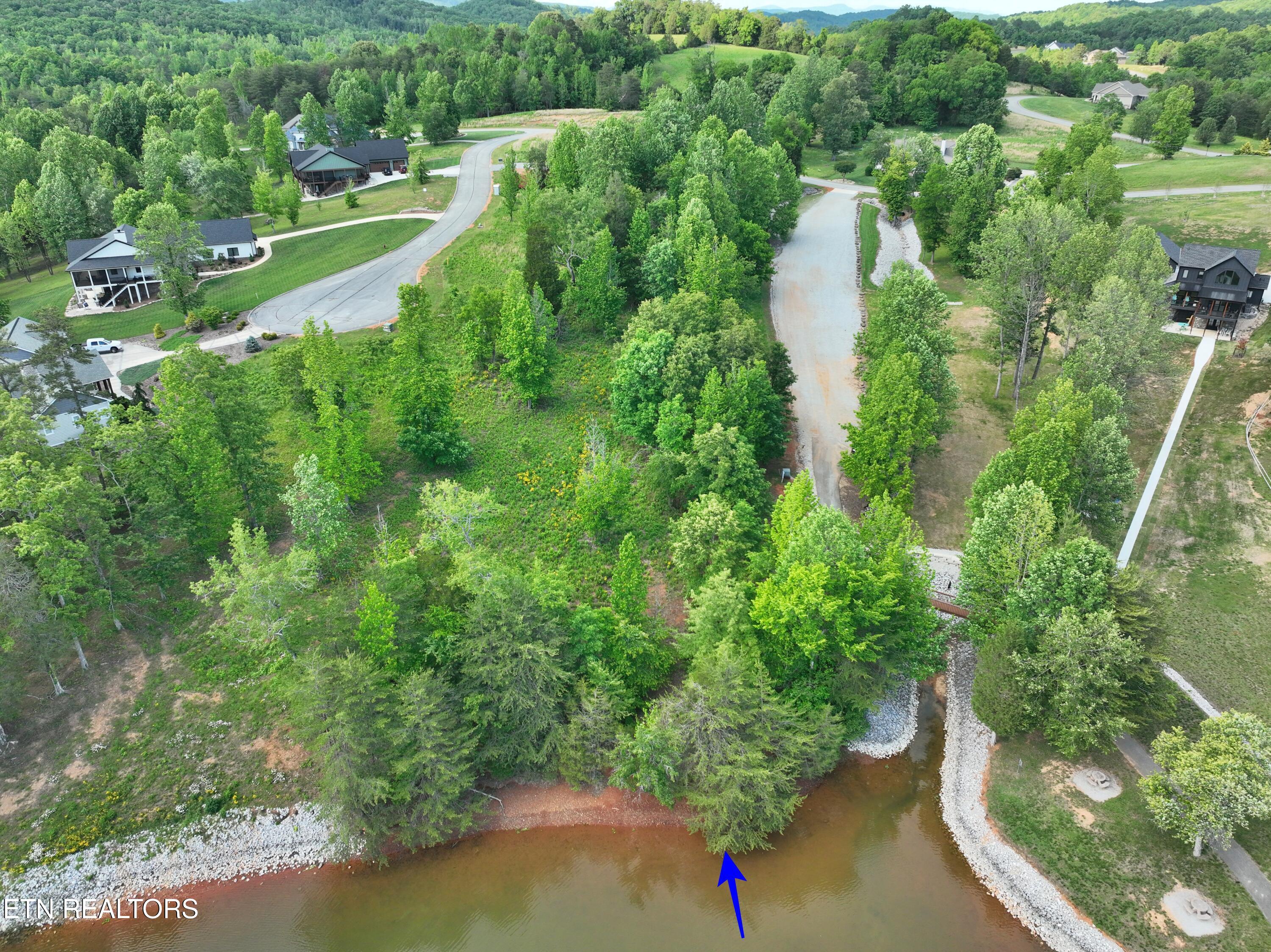 Lot 56 Blue Heron Bluff Road Harriman TN 37748