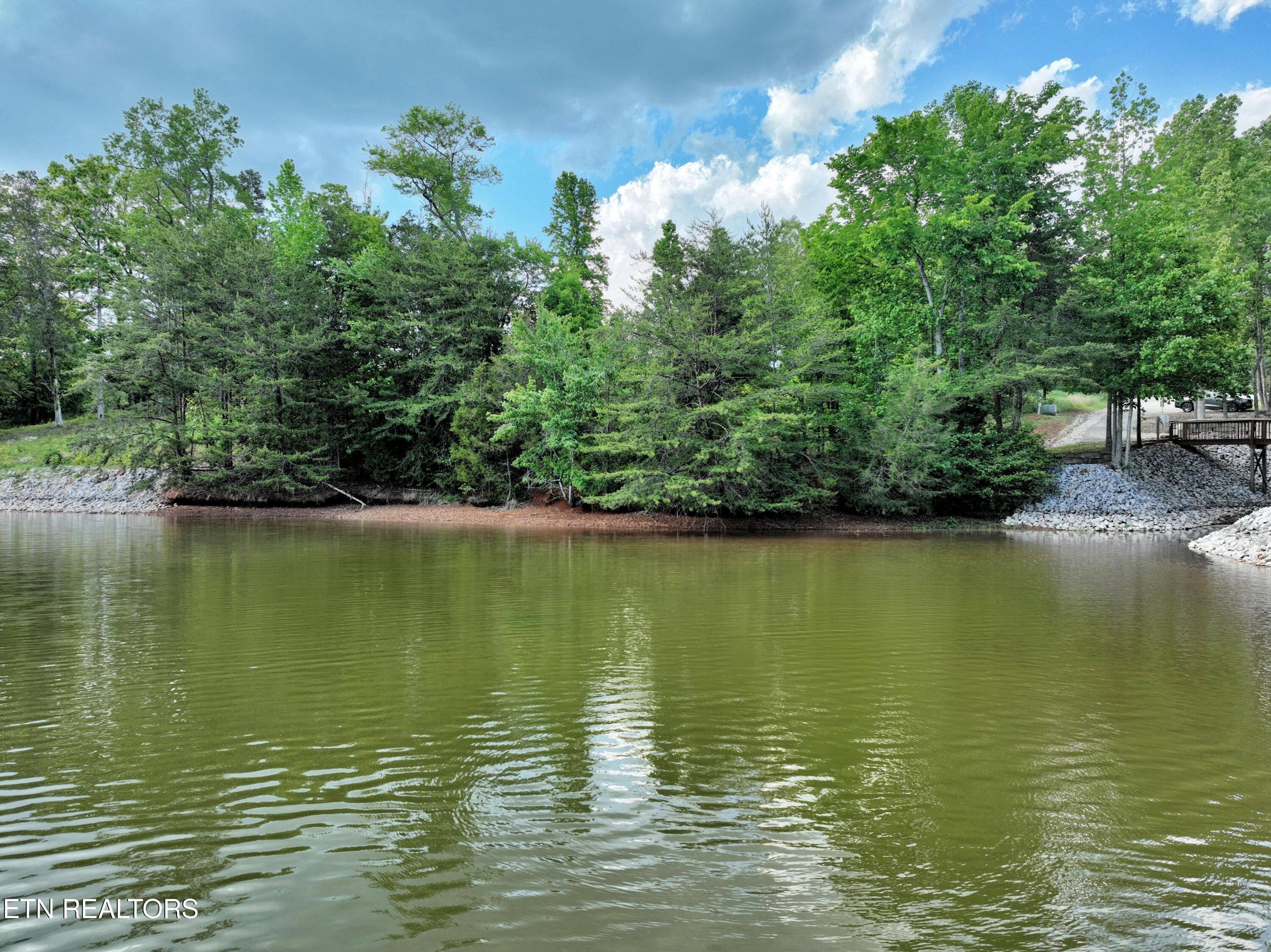 Lot 56 Blue Heron Bluff Road Harriman TN 37748