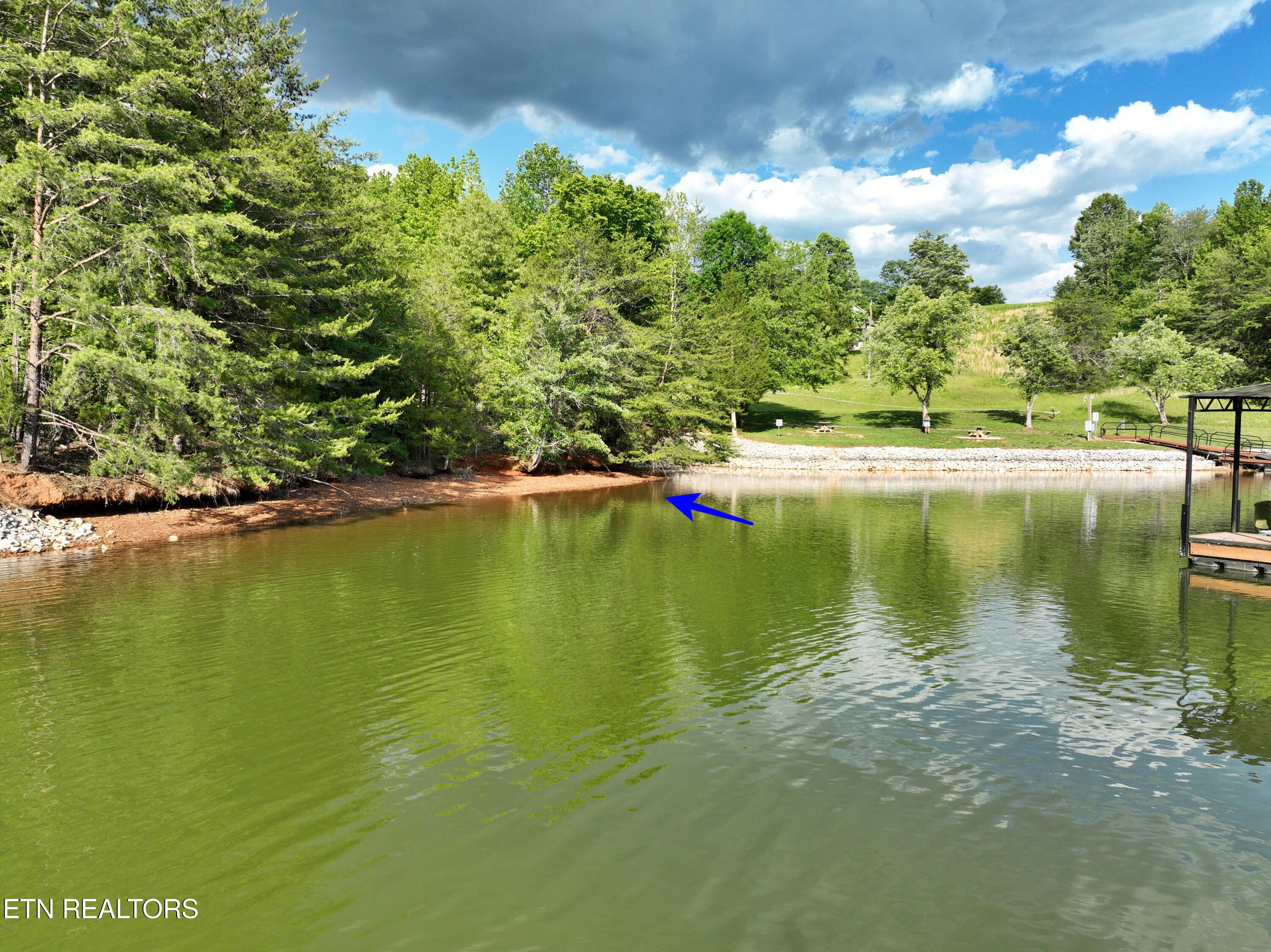 Lot 56 Blue Heron Bluff Road Harriman TN 37748