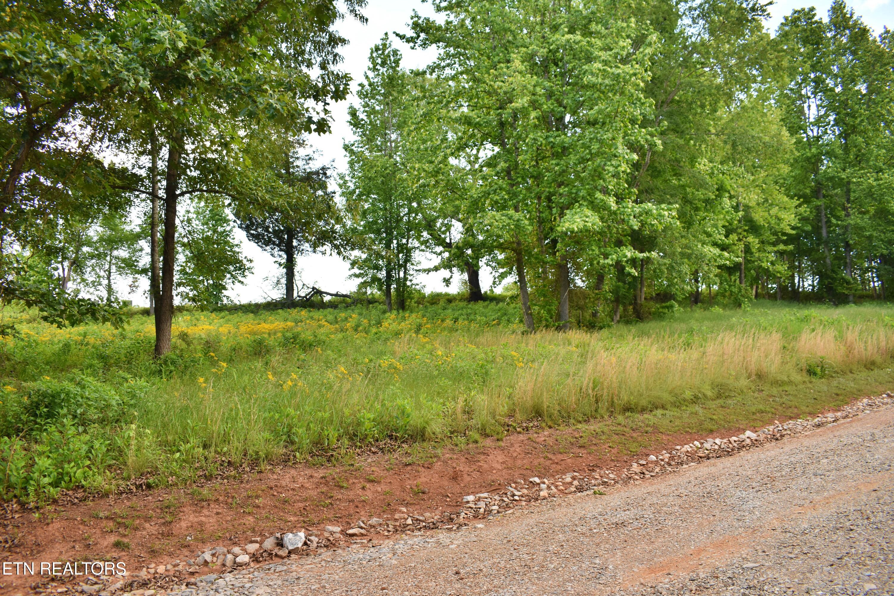 Lot 56 Blue Heron Bluff Road Harriman TN 37748