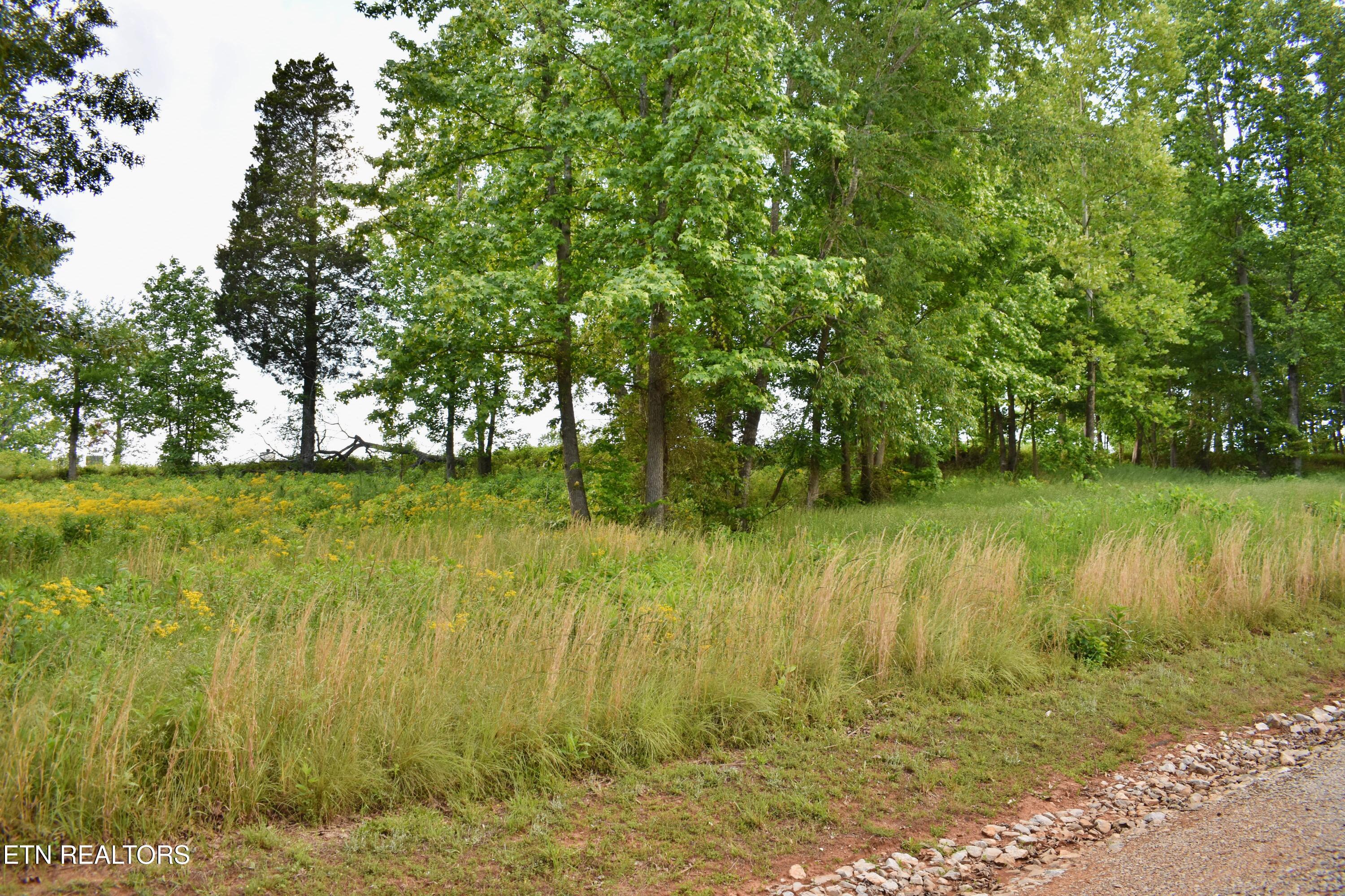 Lot 56 Blue Heron Bluff Road Harriman TN 37748