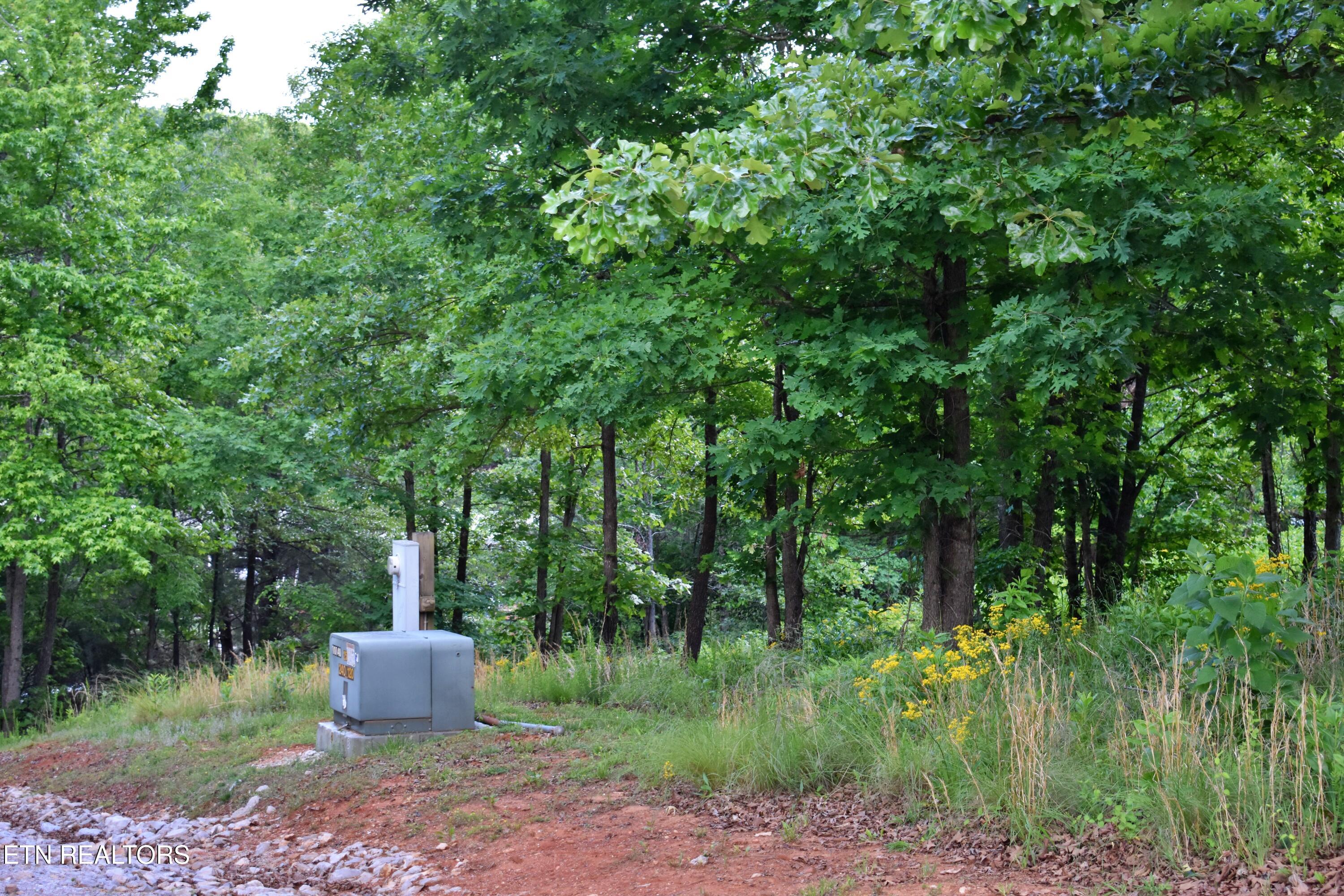 Lot 56 Blue Heron Bluff Road Harriman TN 37748