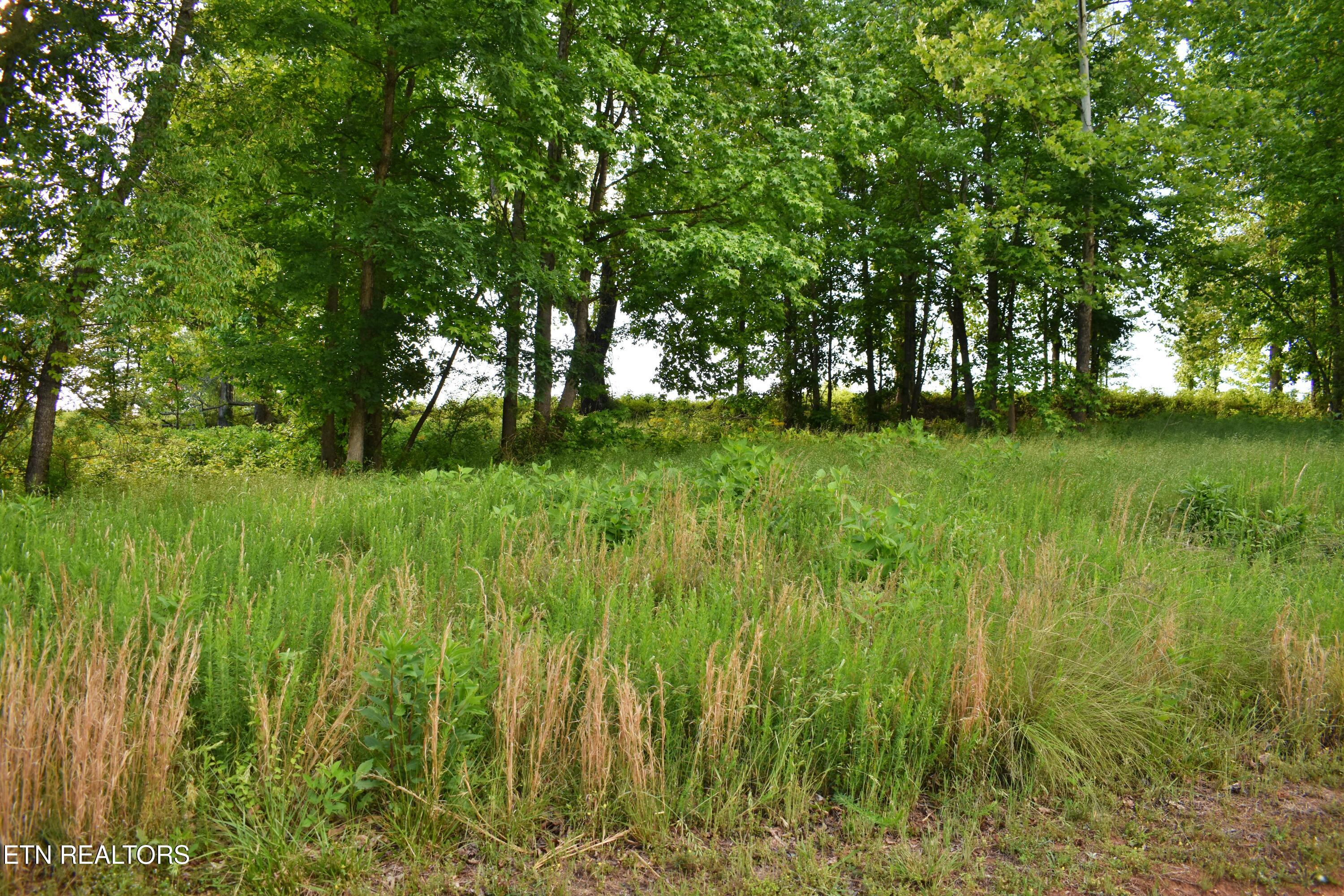 Lot 56 Blue Heron Bluff Road Harriman TN 37748