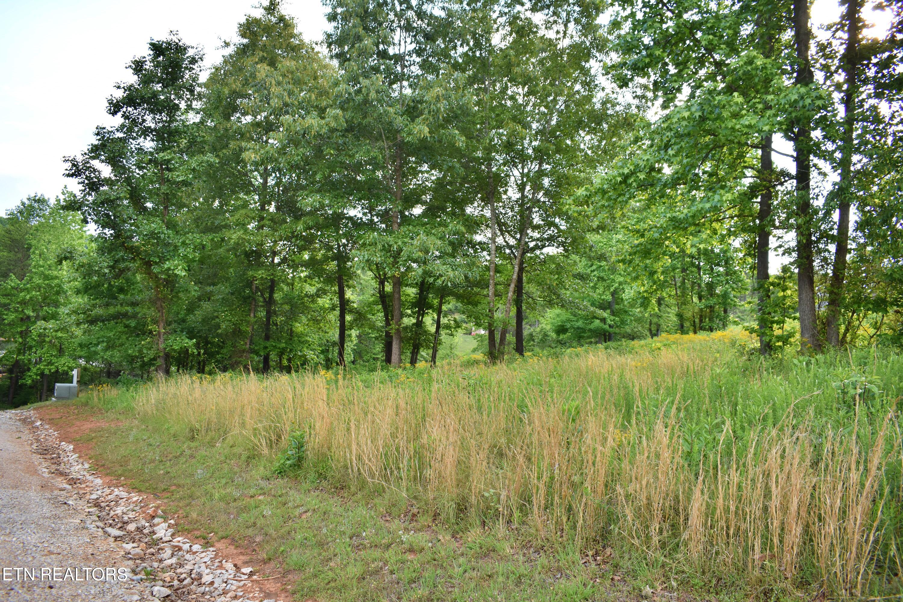 Lot 56 Blue Heron Bluff Road Harriman TN 37748