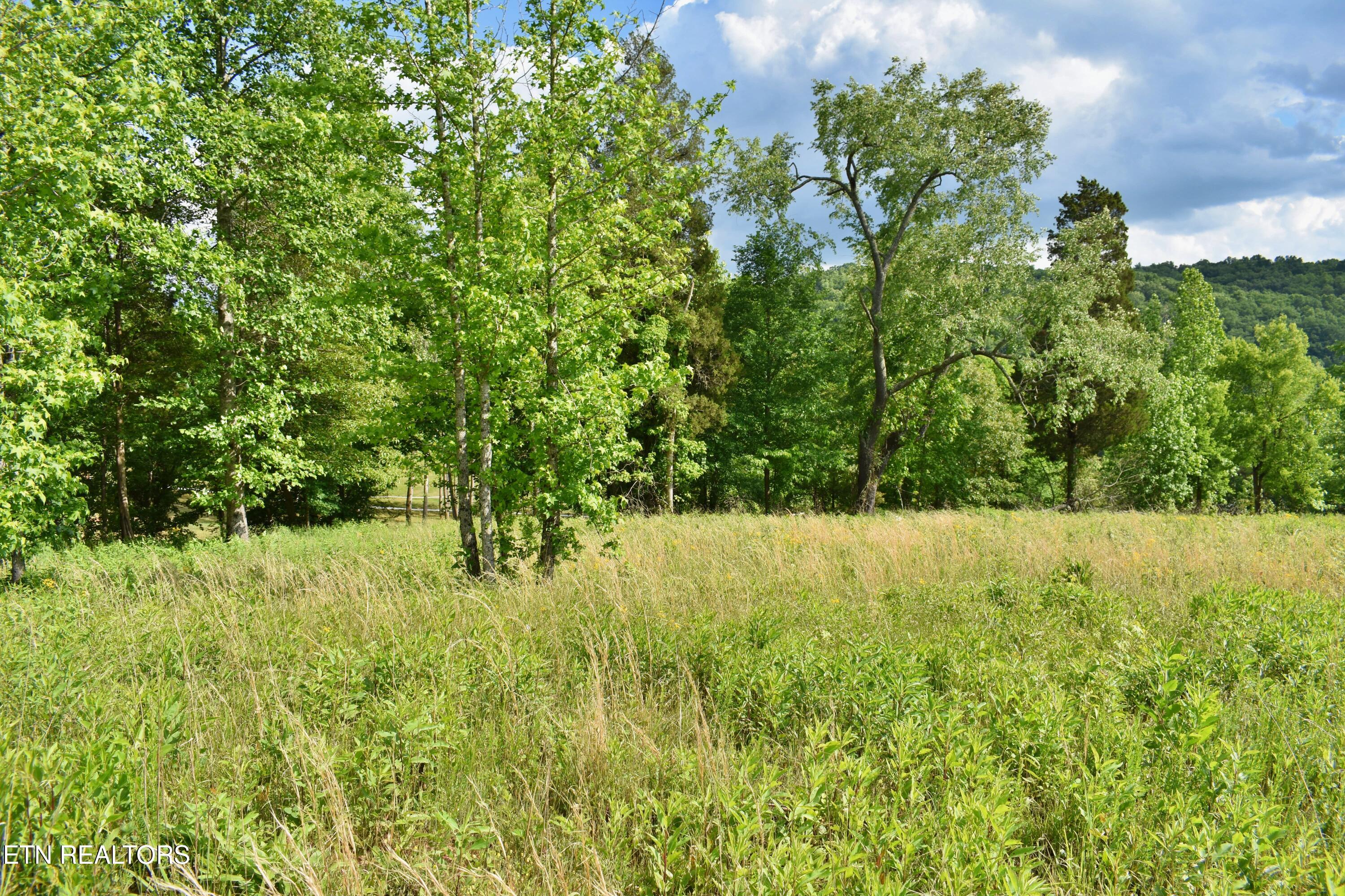 Lot 56 Blue Heron Bluff Road Harriman TN 37748