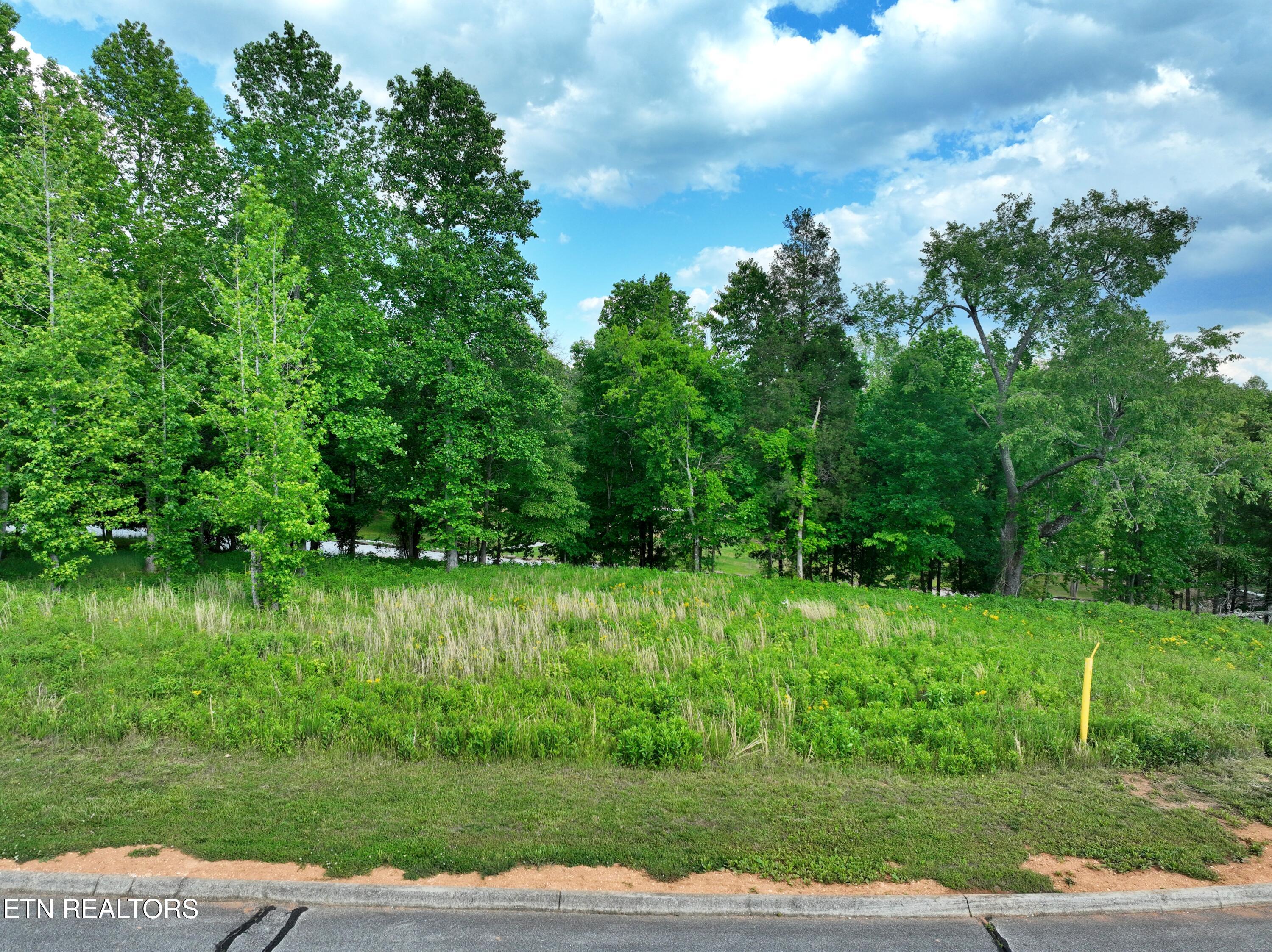 Lot 56 Blue Heron Bluff Road Harriman TN 37748