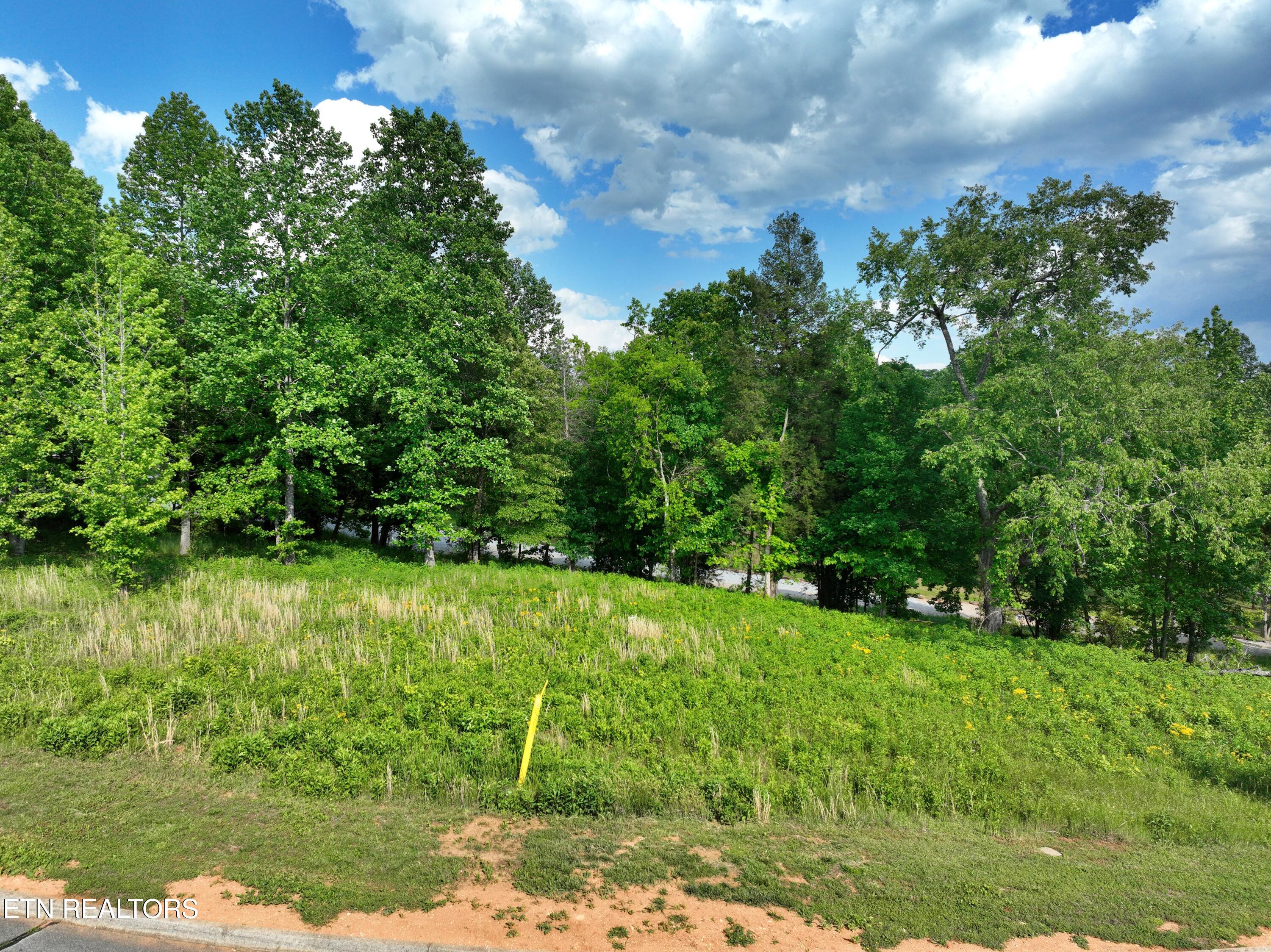 Lot 56 Blue Heron Bluff Road Harriman TN 37748