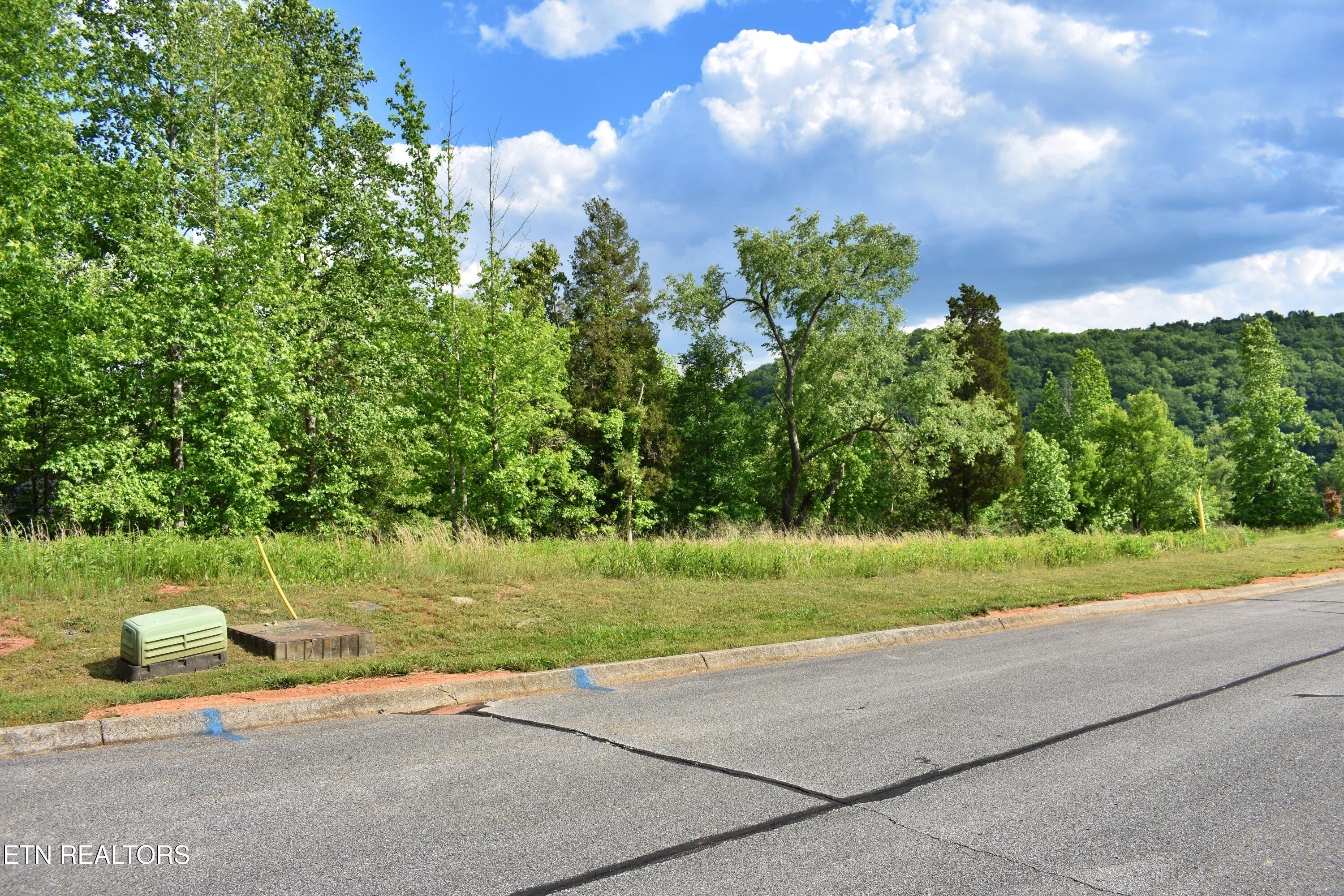 Lot 56 Blue Heron Bluff Road Harriman TN 37748