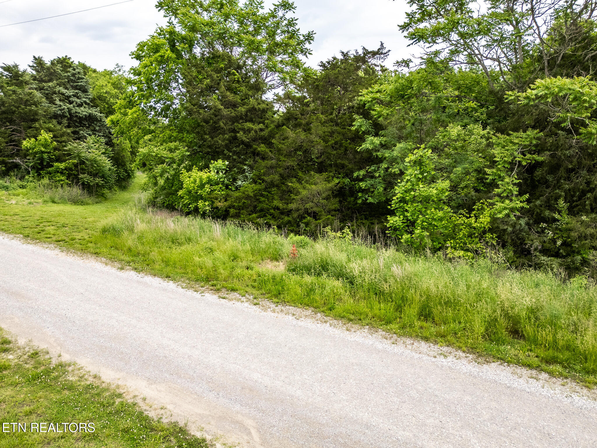 Lot 32 Lake Bluff Road Baxter TN 38544