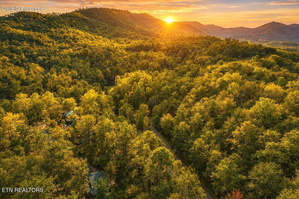 Bradley Road Sevierville TN 37876