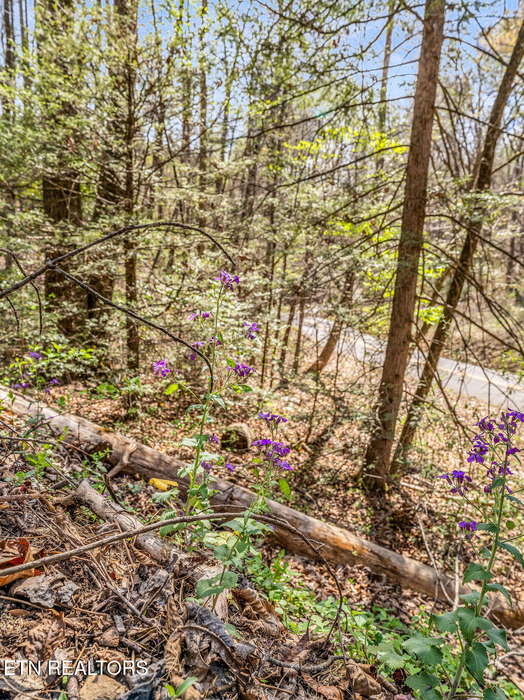 Bradley Road Sevierville TN 37876