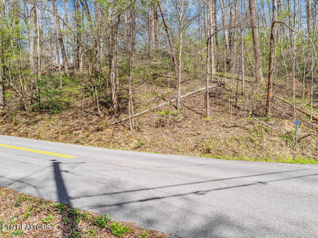 Bradley Road Sevierville TN 37876