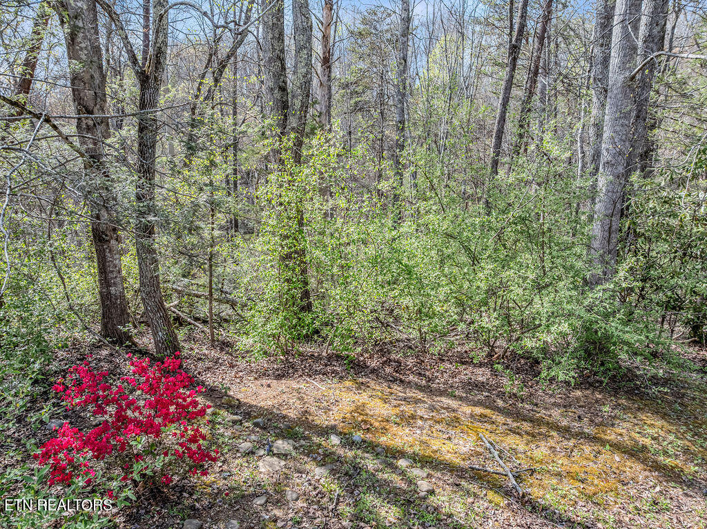 Bradley Road Sevierville TN 37876